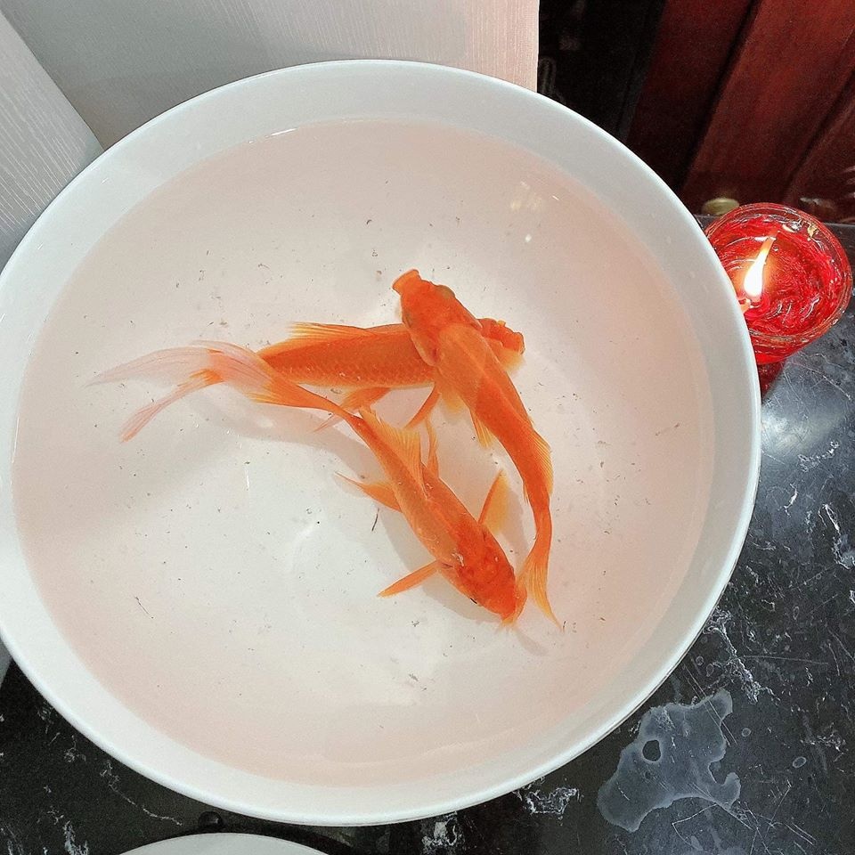 Mâm cỗ cúng Táo sao việt ảnh 7 Mam co cung Tao sao viet anh 7