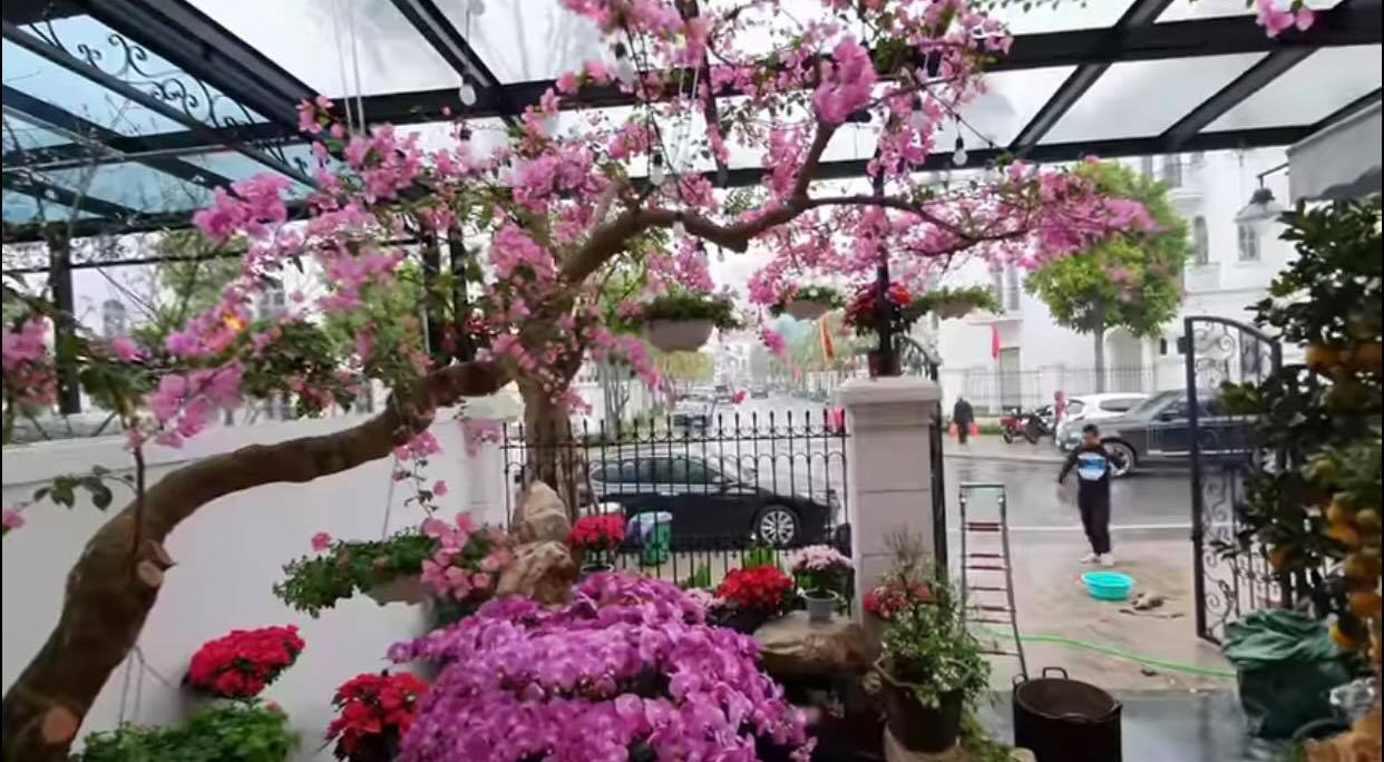 Tuan Hung goi banh chung Tet anh 2