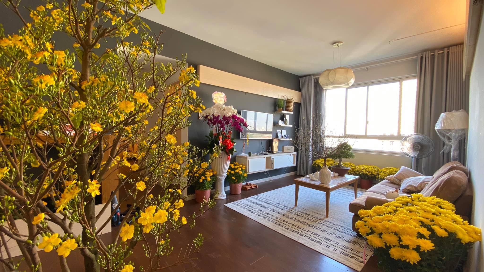 Sao Viet trang tri nha don Tet anh 1