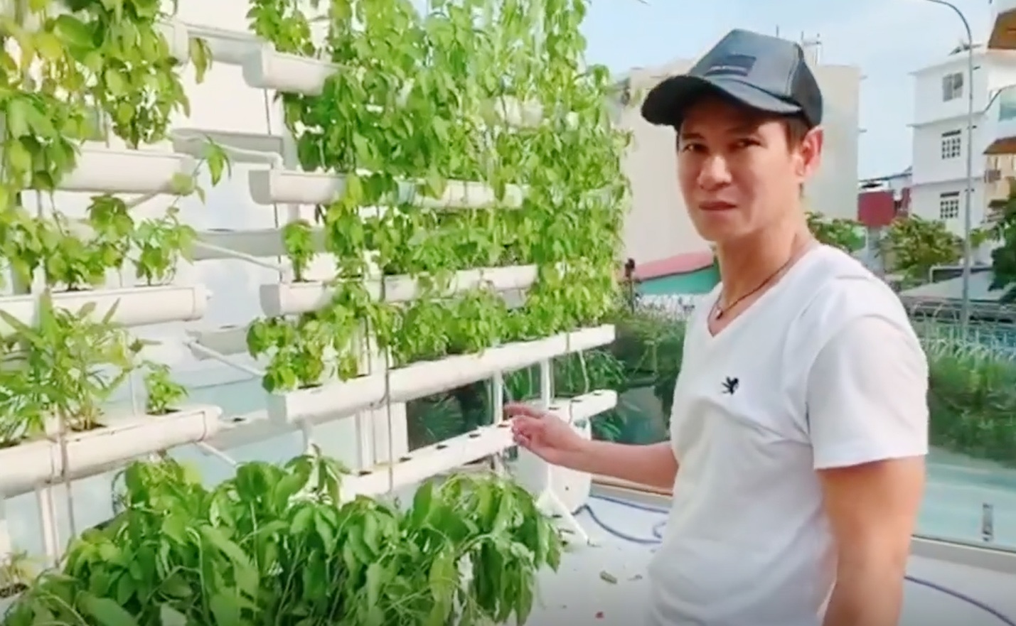 Ly Hai Minh Ha vuon rau anh 1