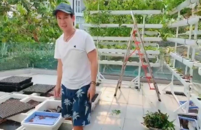 Vuon rau xanh tai biet thu cua gia dinh Ly Hai hinh anh