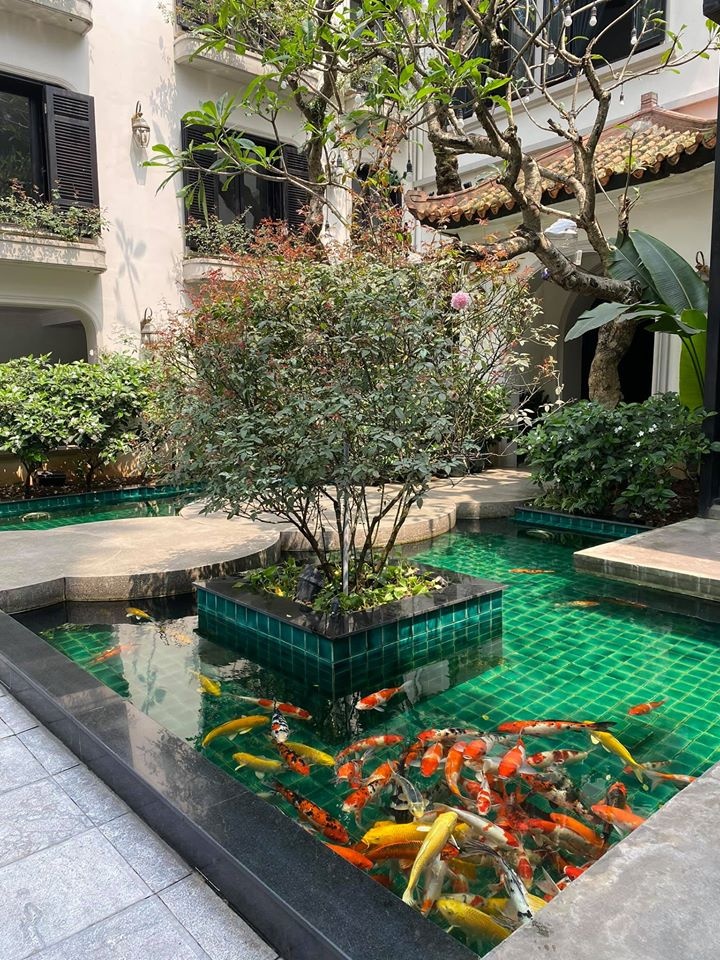 MC Mai Ngọc không gian sống ảnh 5 MC Mai Ngoc khong gian song anh 5