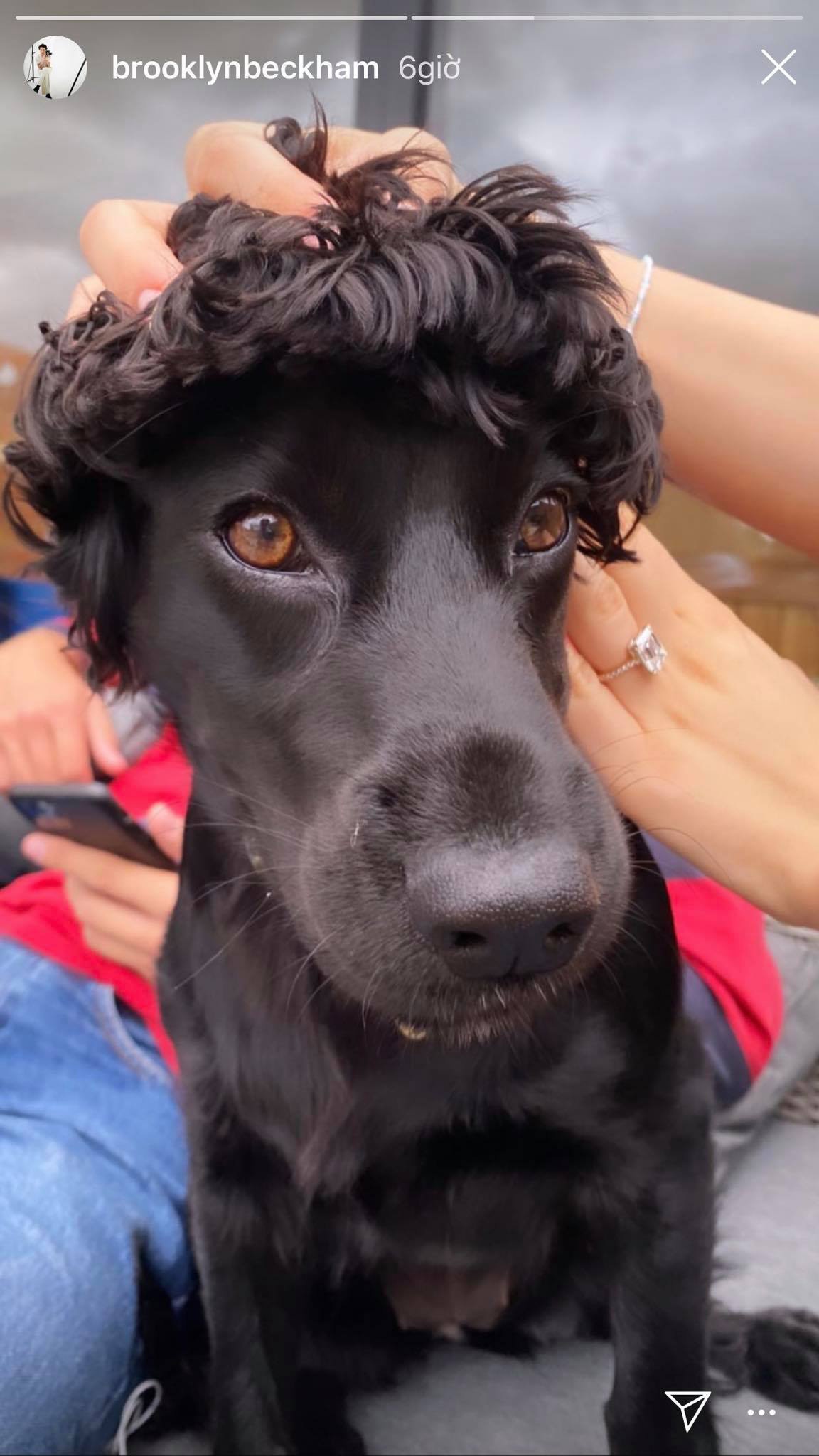 Brooklyn Beckham dinh hon anh 2