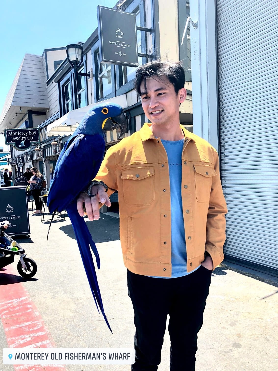 Thuc Sinh phim Kieu anh 11