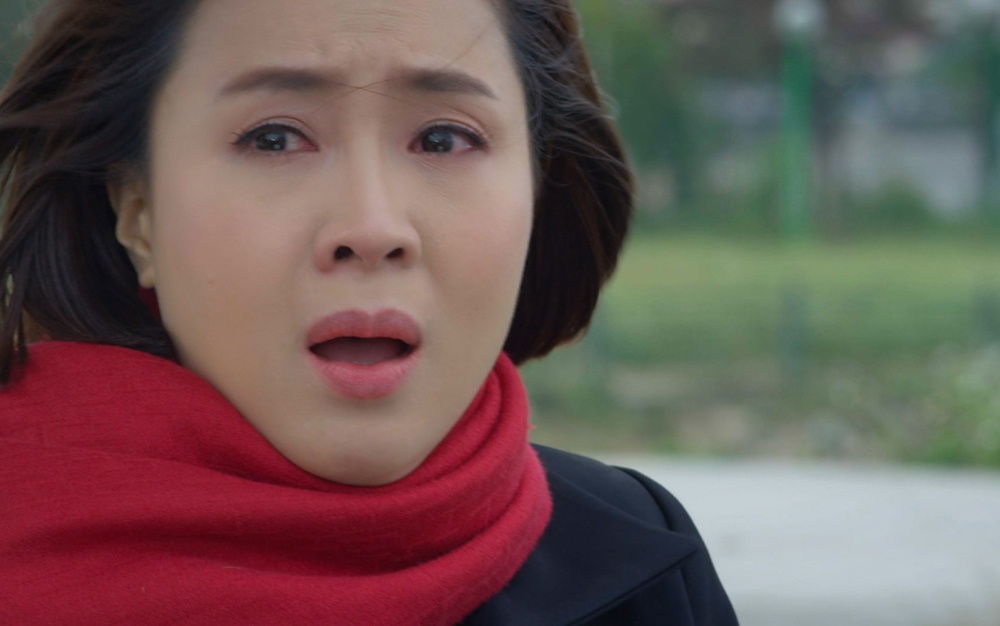 Huong duong nguoc nang Hong Diem anh 2