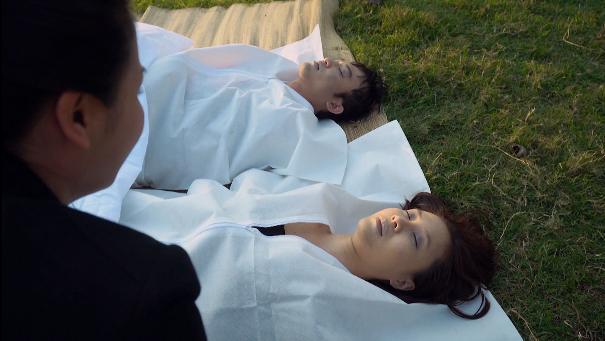 Hau truong Huong duong nguoc nang anh 1