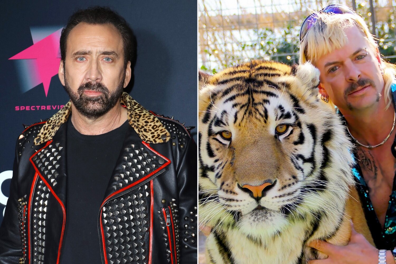 Nicolas Cage Joe Exotic Vua ho anh 1