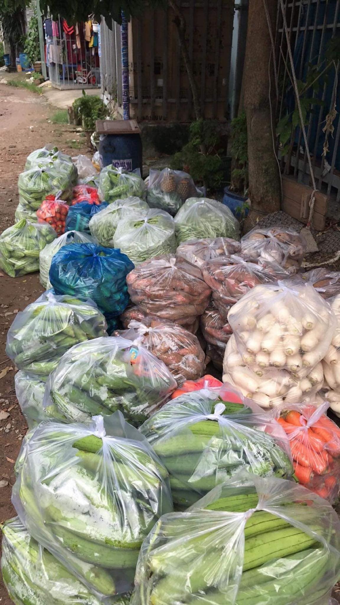 Diễn viên Hòa Hiệp từ thiện mùa dịch ảnh 2 Dien vien Hoa Hiep tu thien mua dich anh 2