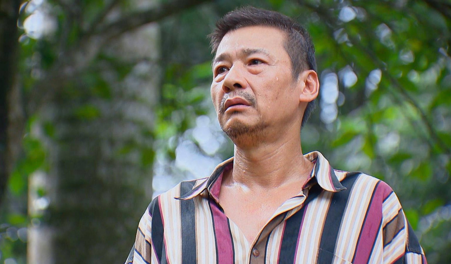 Tai xuat man anh nho Vo Hoai Nam Tu Oanh Thu Ha anh 4