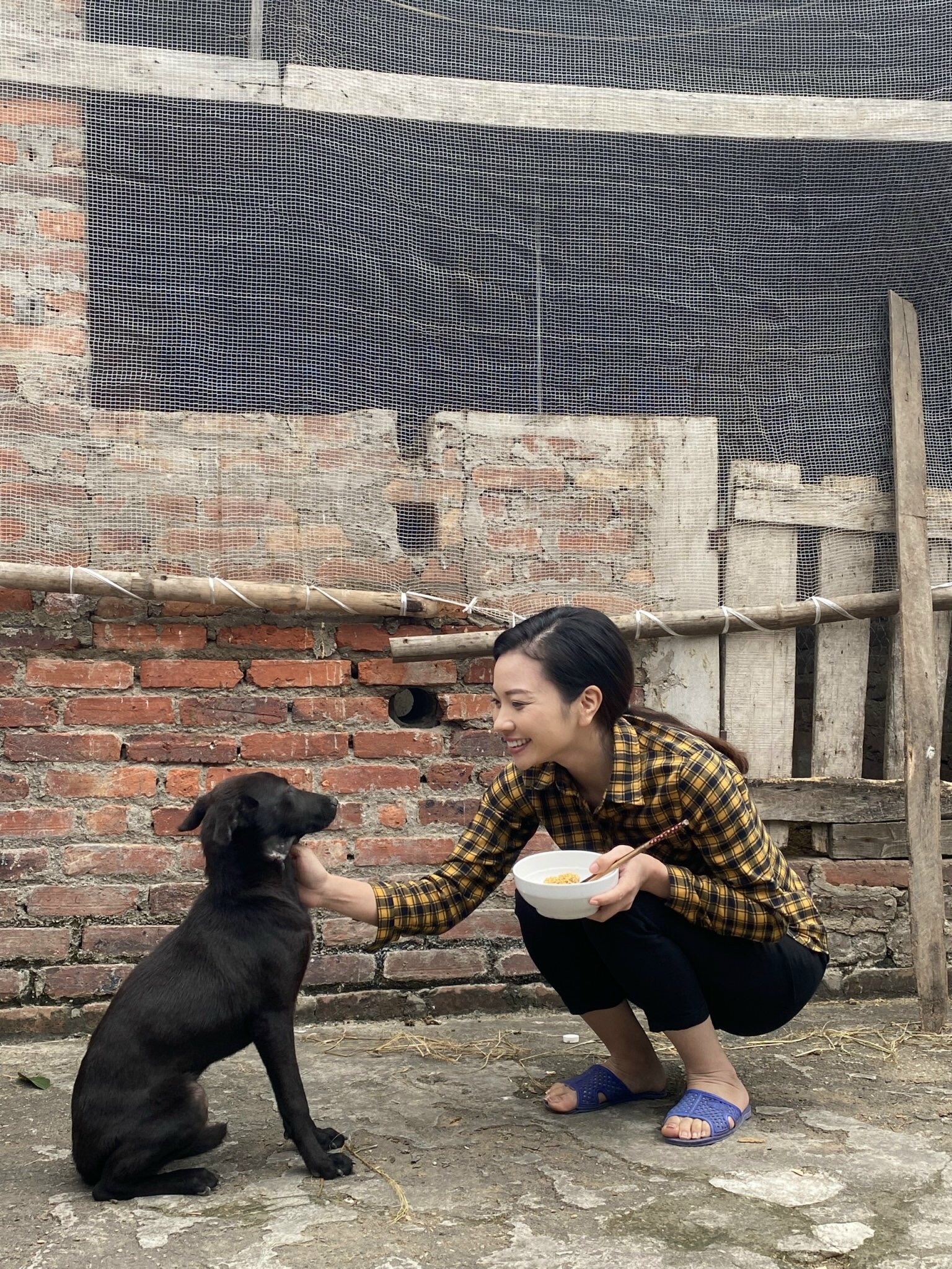 Phim Phố trong làng mùa dịch ảnh 2 Phim Pho trong lang mua dich anh 2