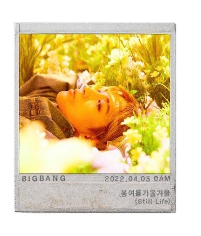 Big Bang Daesung ảnh 2 Big Bang Daesung anh 2