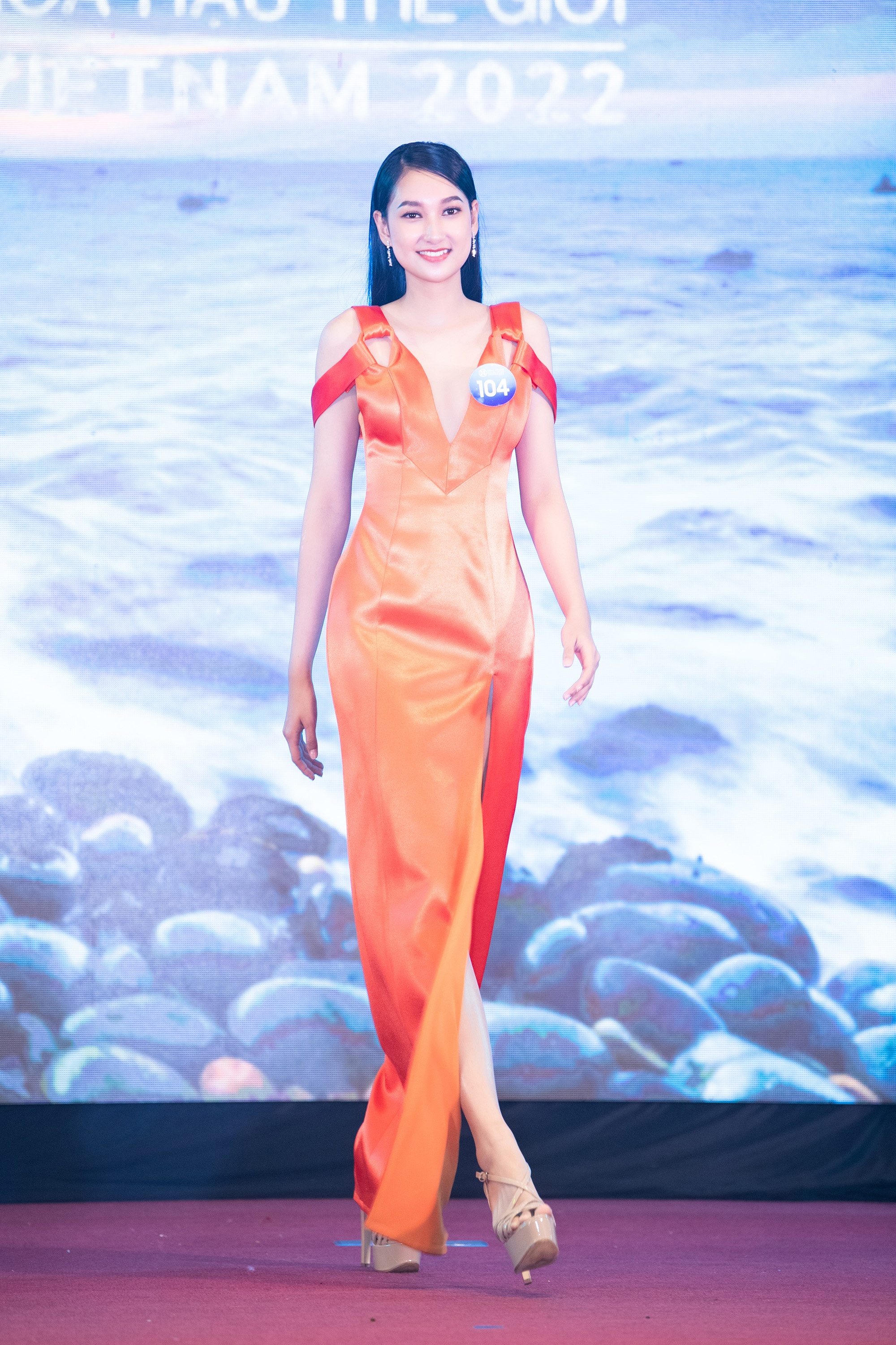 Hoa hau The gioi Viet Nam 2022 anh 4