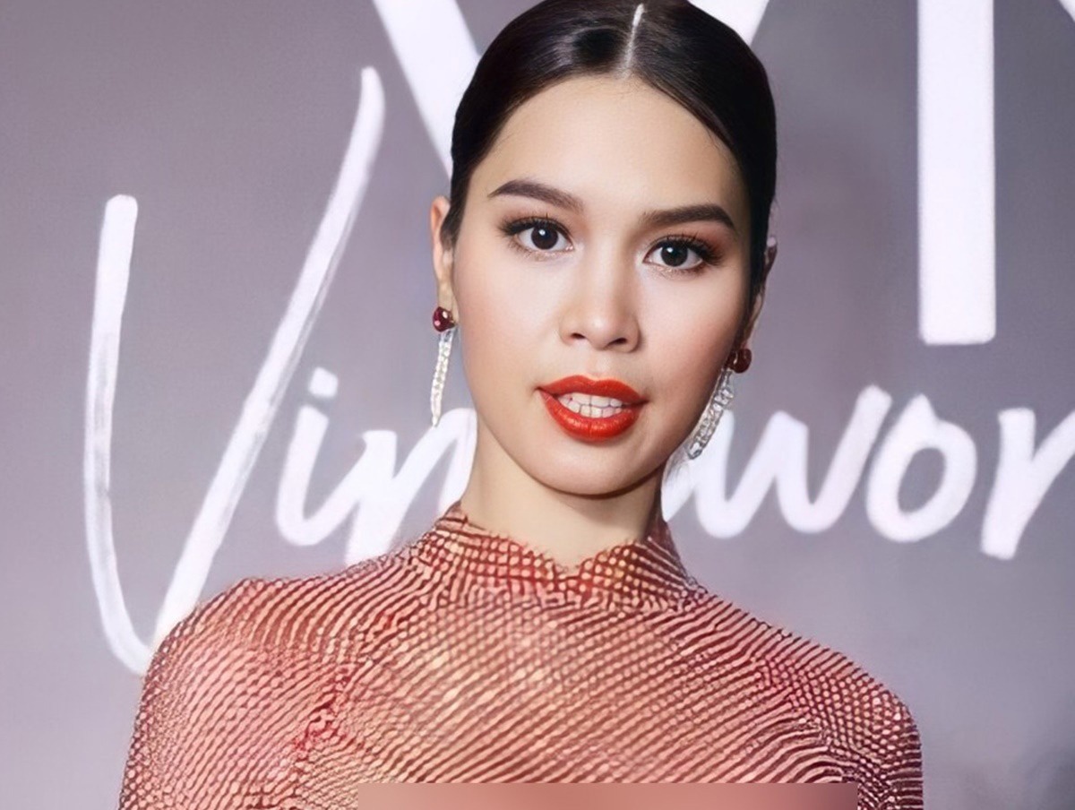 BTC Miss Universe Vietnam noi ve viec bi cam to chuc thi trong 9 thang hinh anh