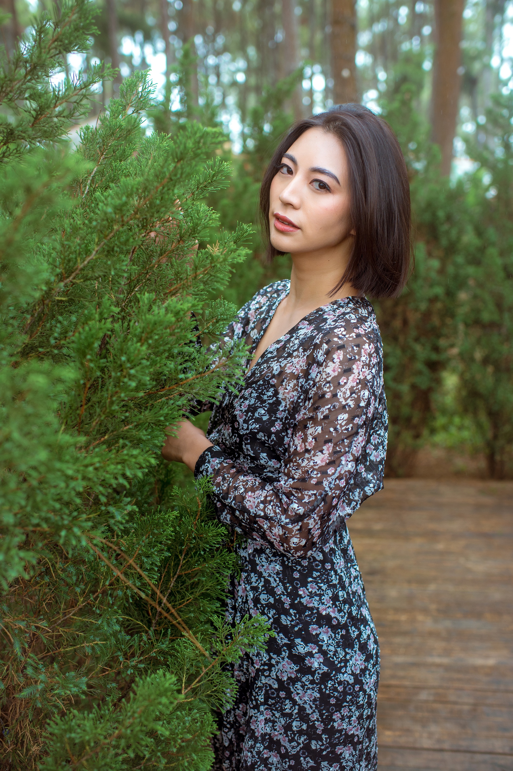 Hoa hau Du lich anh 4