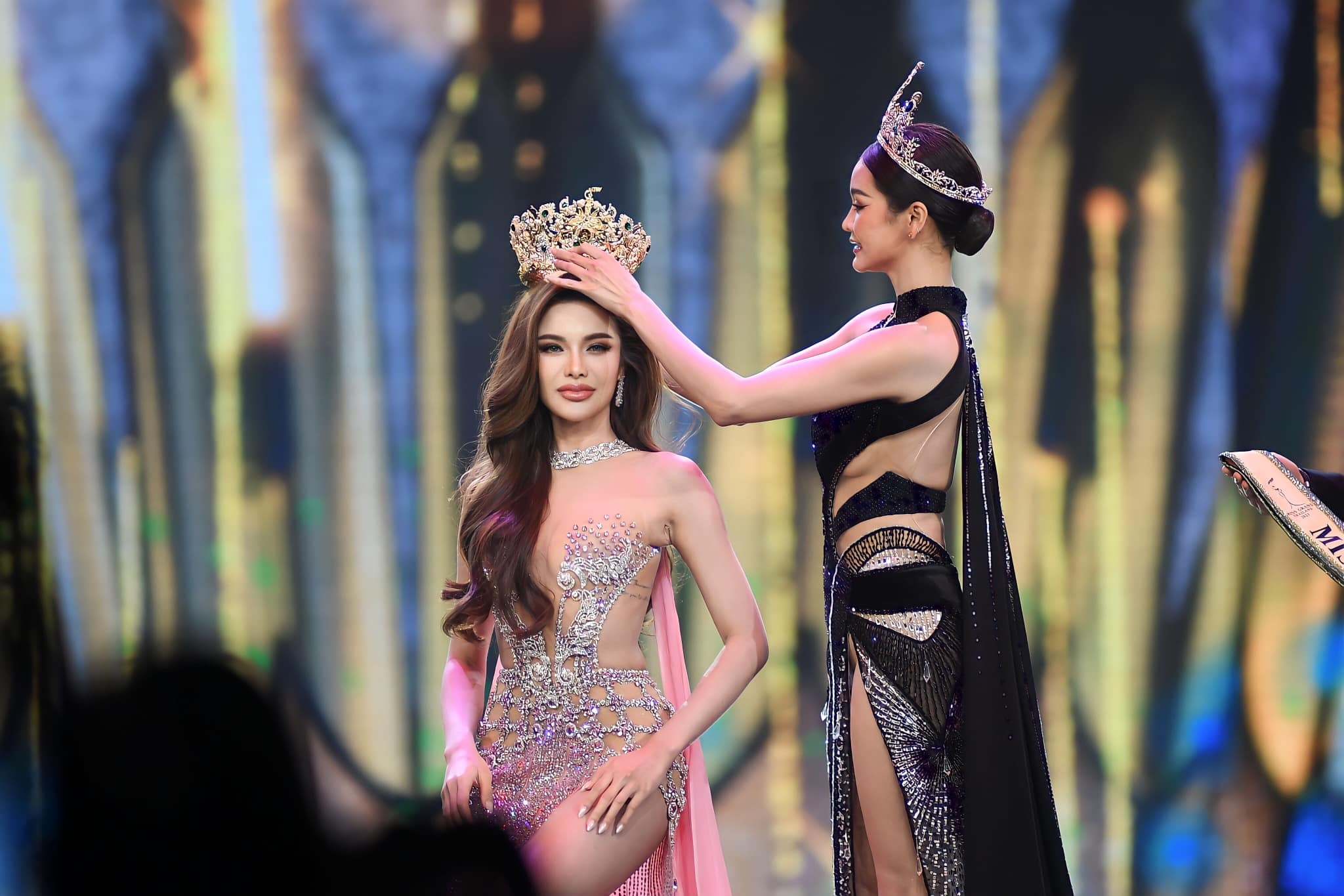 hoa hau hoa binh anh 1