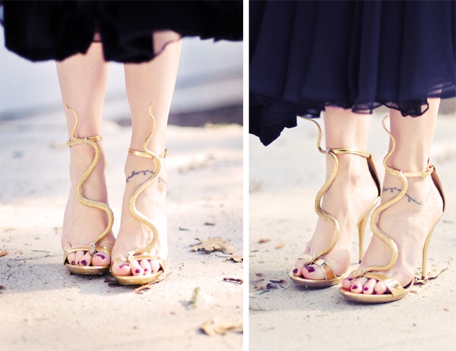 Trang tri giay anh kim voi hinh ran doc dao hinh anh