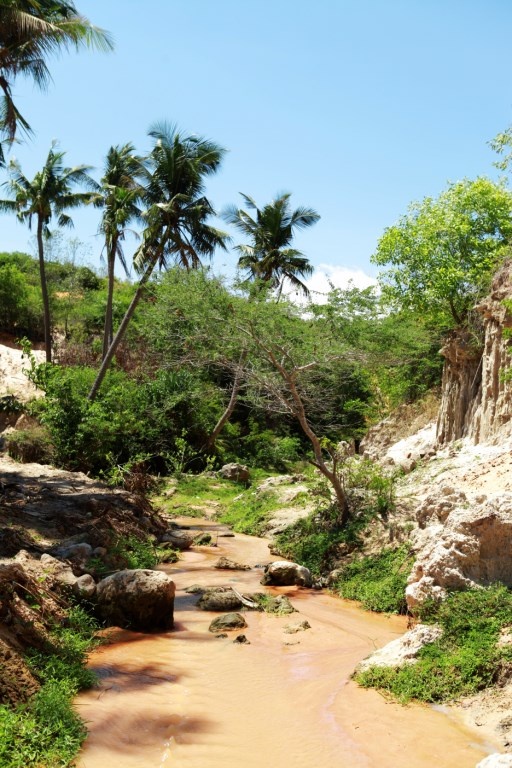 Nhưng có lẽ không nhiều người biết, ở Mũi Né còn có một điểm du lịch hấp dẫn với khách du lịch, nhất là với những ai ưa khám phá đó là Suối Tiên.