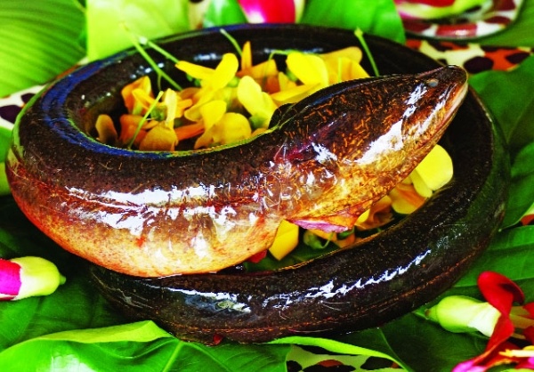 Thuong thuc vo so mon luon ngon tu Bac vao Nam hinh anh