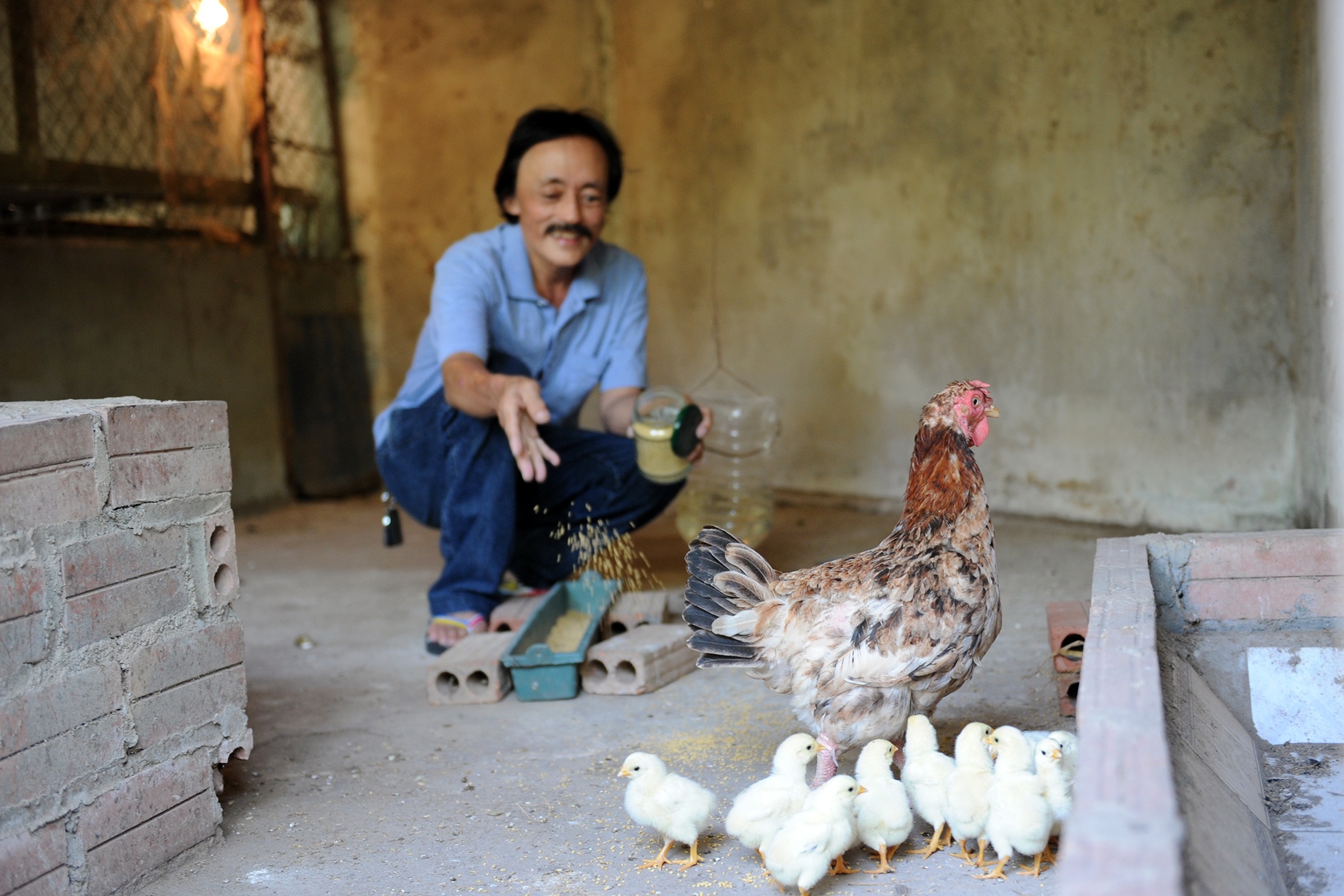 Cuoc song binh yen cua Giang Coi trong trang trai rong 10.000 m2 hinh anh