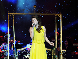 Hoa cuc vang - My Dung hinh anh