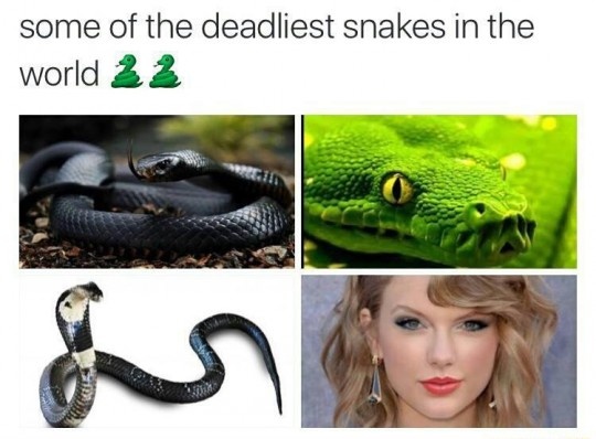 Taylor Swift ngoi sao chat doi du luan anh 6