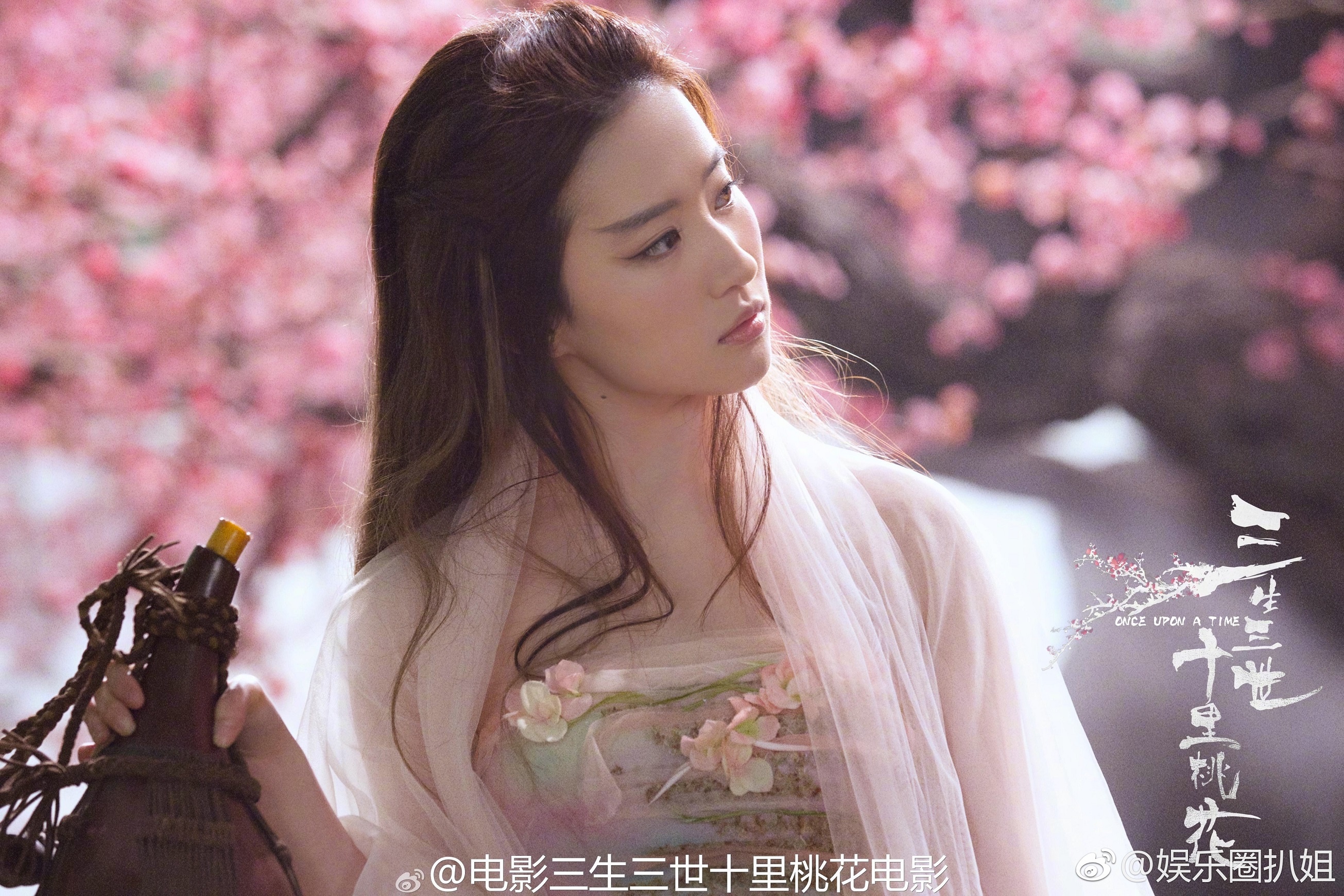 lưu diệc phi đóng hoa mộc lan ảnh 3 luu diec phi dong hoa moc lan anh 3