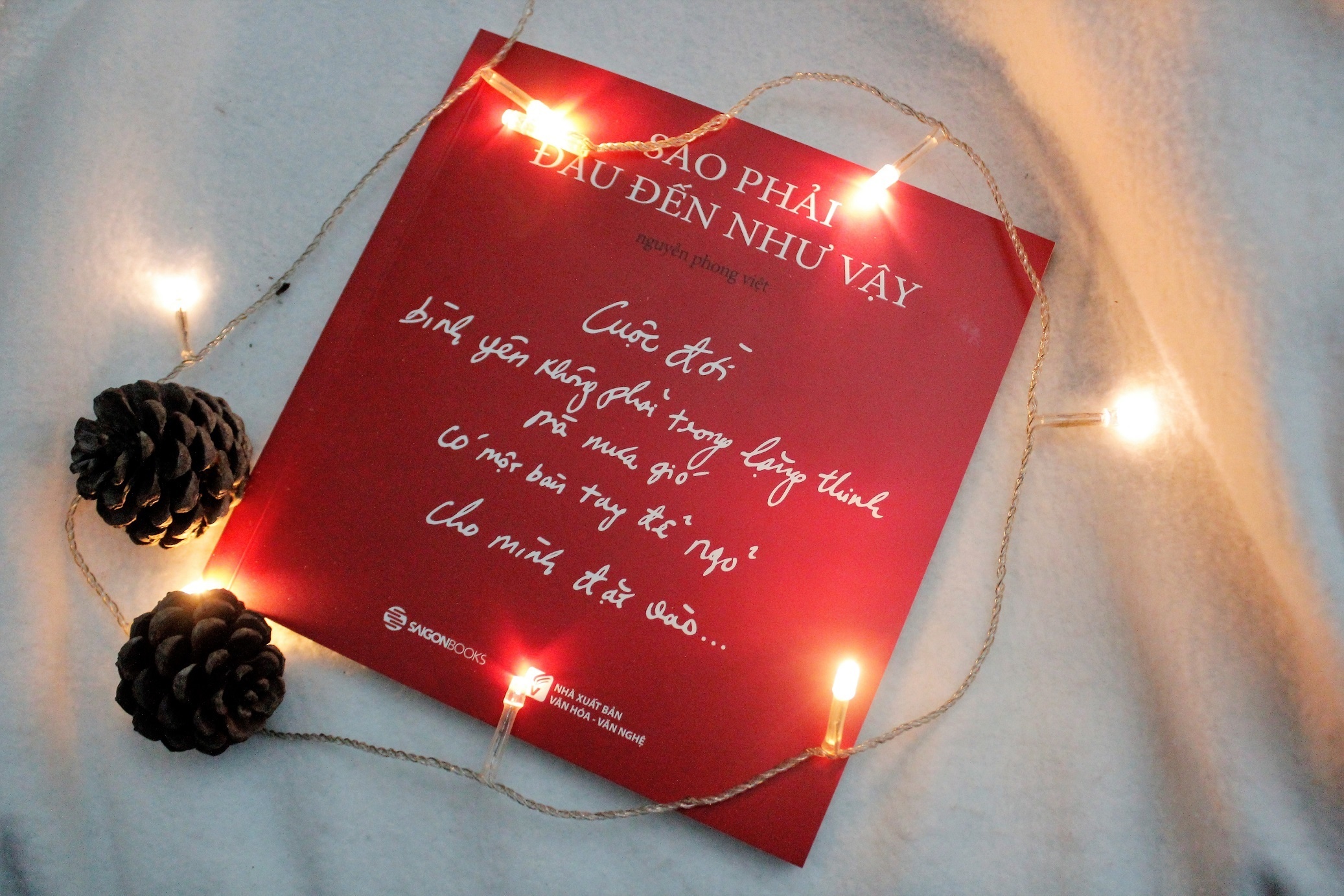 nha tho nguyen phong viet anh 2