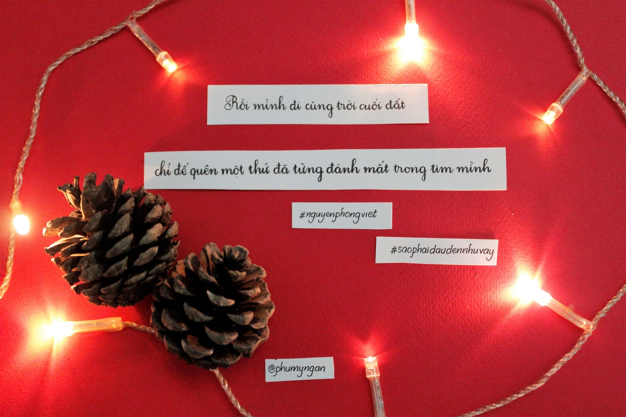 nha tho nguyen phong viet anh 4