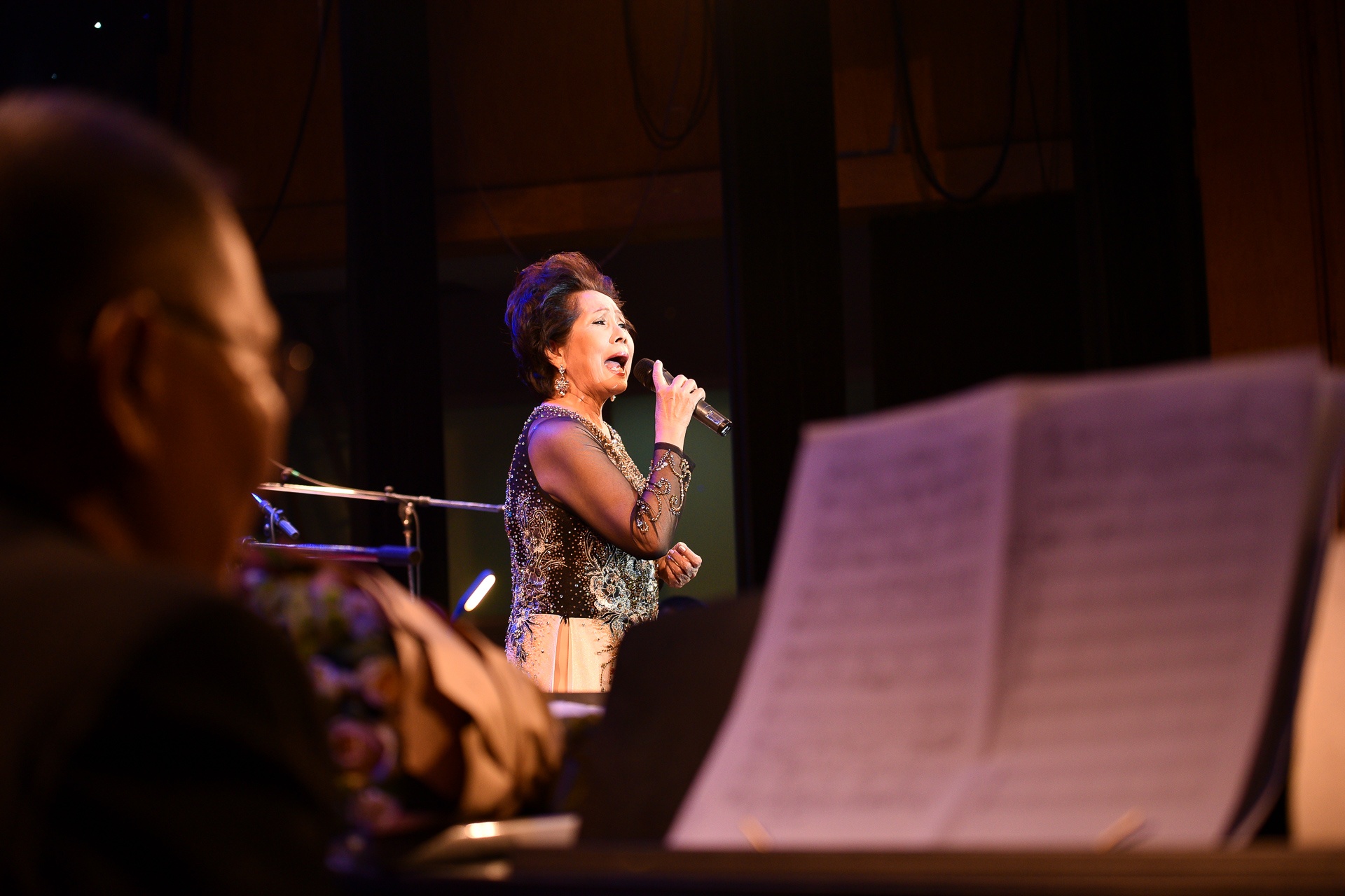 dem nhac goc ky uc cua bao chan anh 3