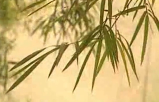 'Ha Noi - Hue - Sai Gon' - NSND Thanh Huyen hinh anh