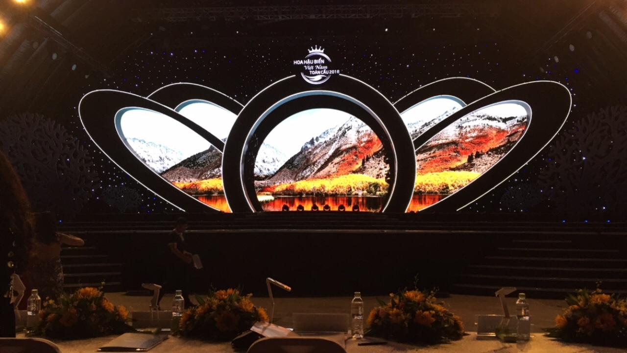 chung ket hoa hau bien viet nam toan cau anh 1