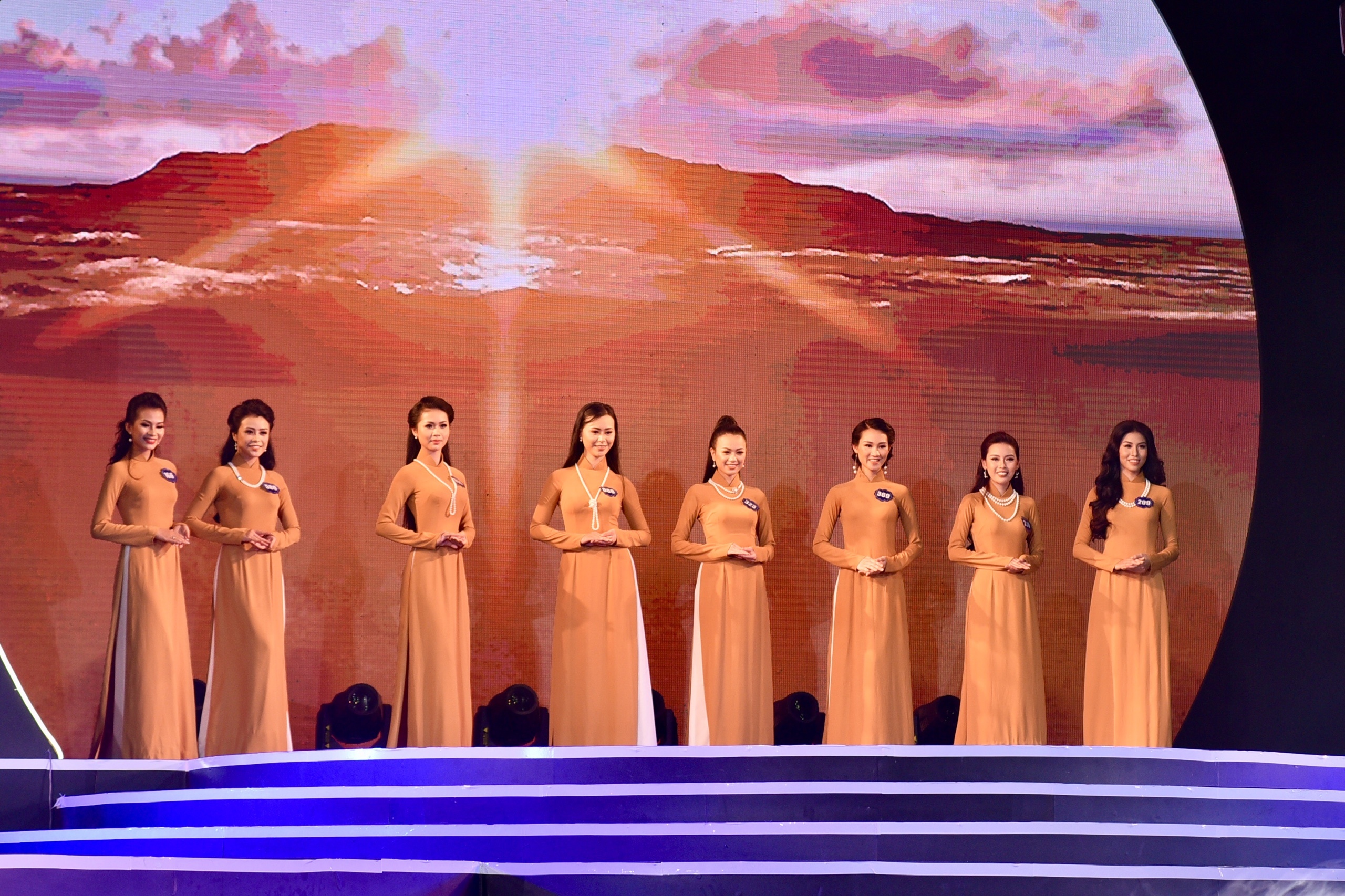 chung ket hoa hau bien viet nam toan cau anh 4