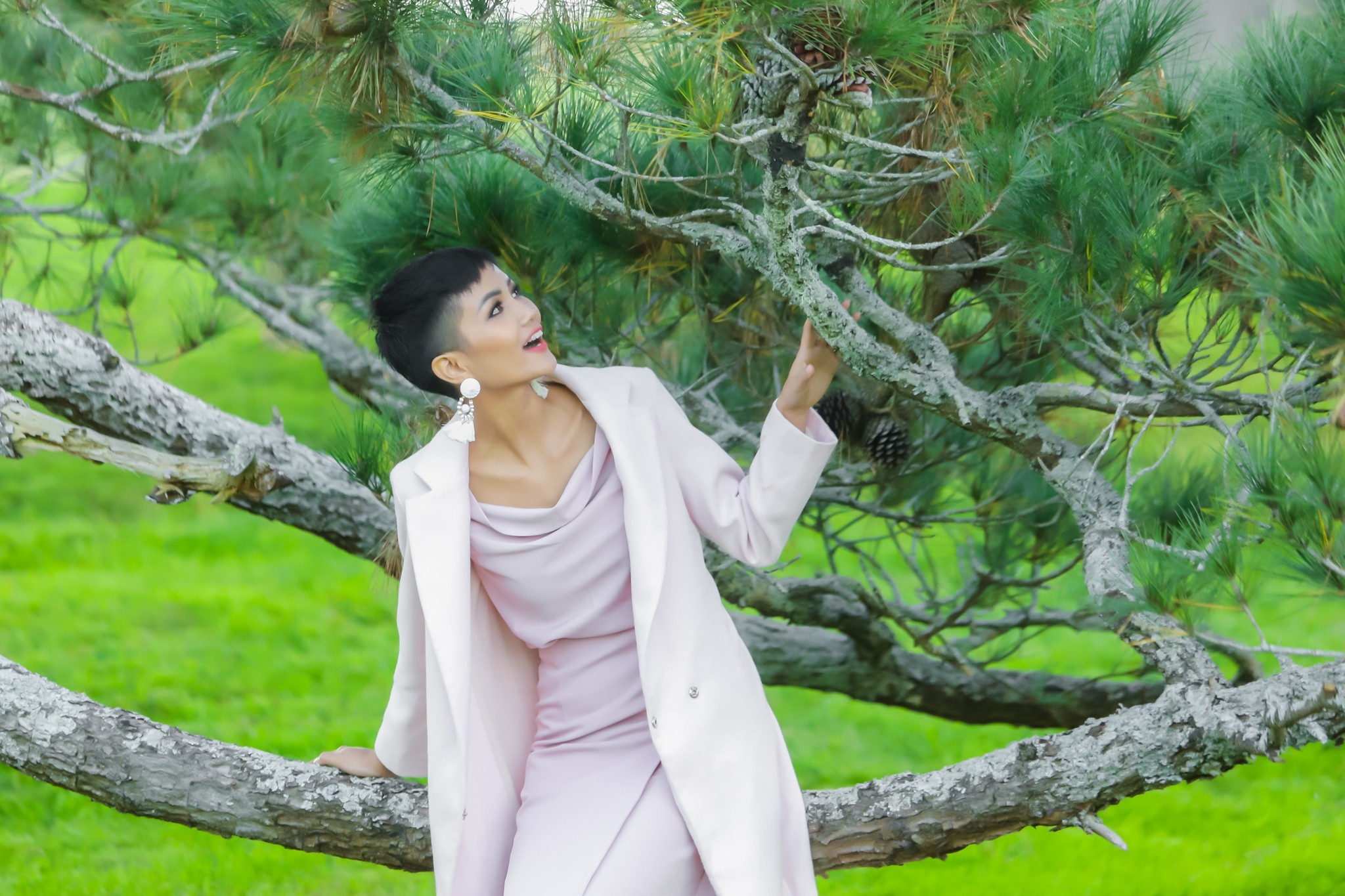 hoa hau h hen nie tham lang hobbit o new zealand anh 6