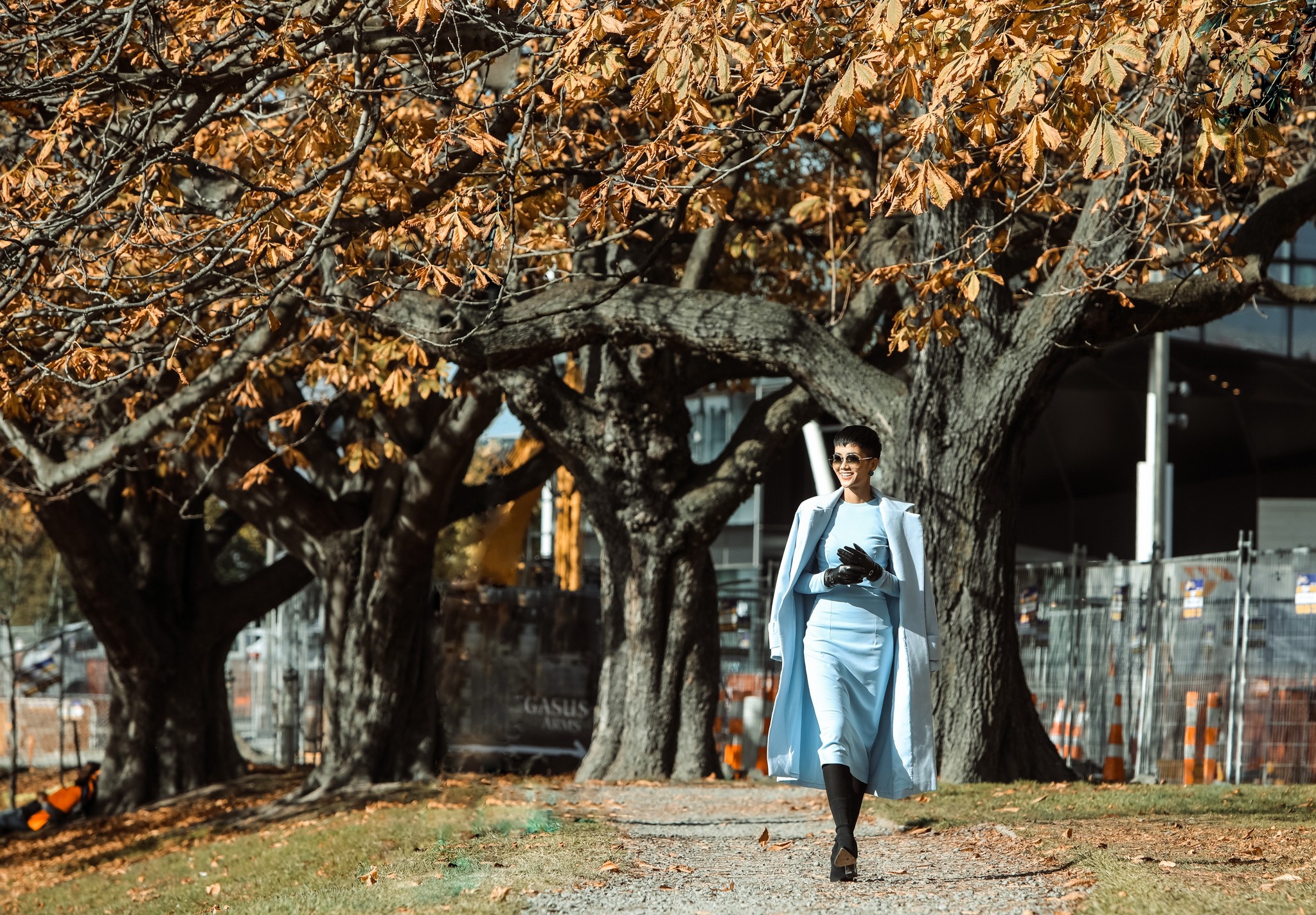 hoa hau h hen nie tham lang hobbit o new zealand anh 8