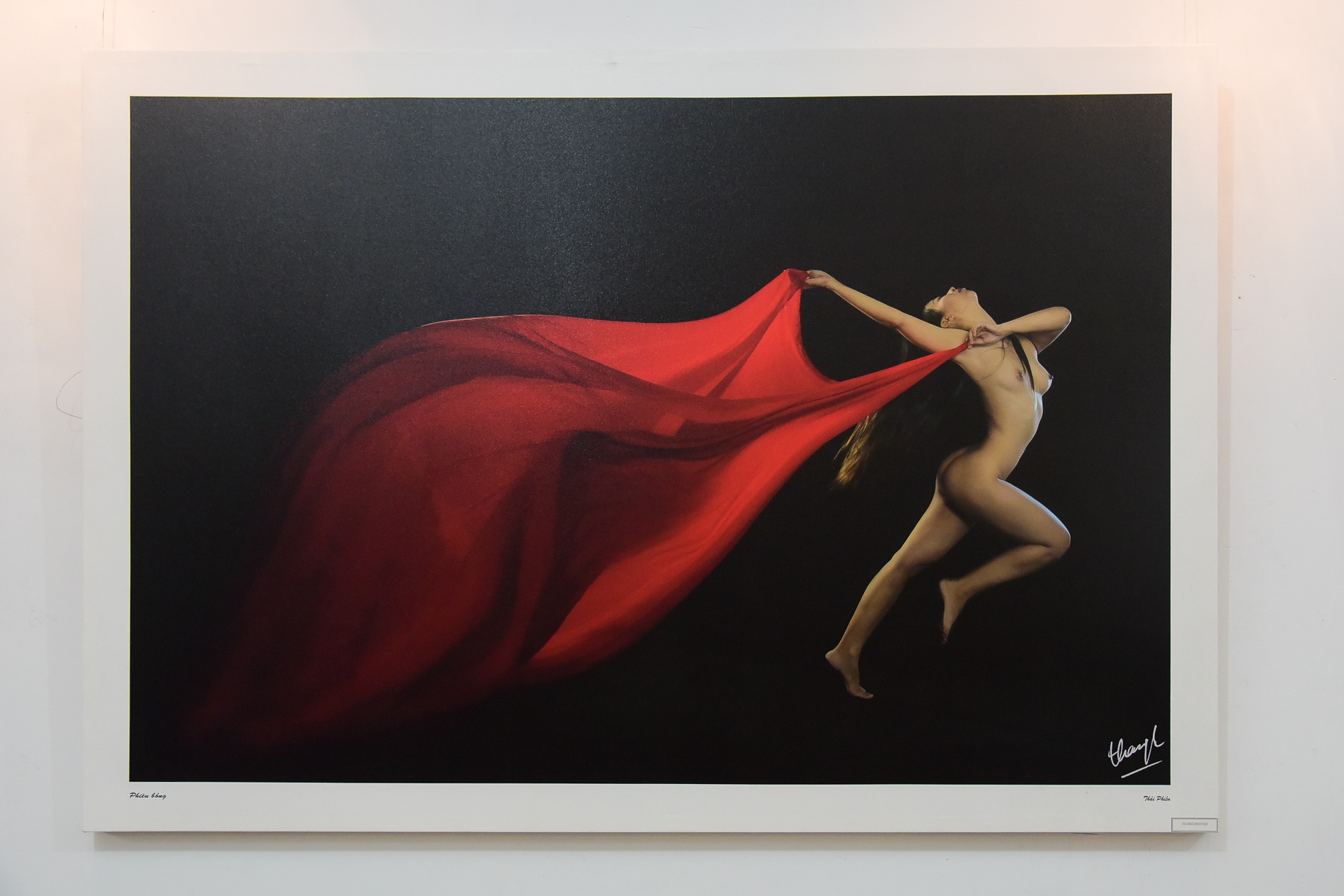 can canh trien lam nude dau tien cua Thai Phien o Sai Gon anh 1