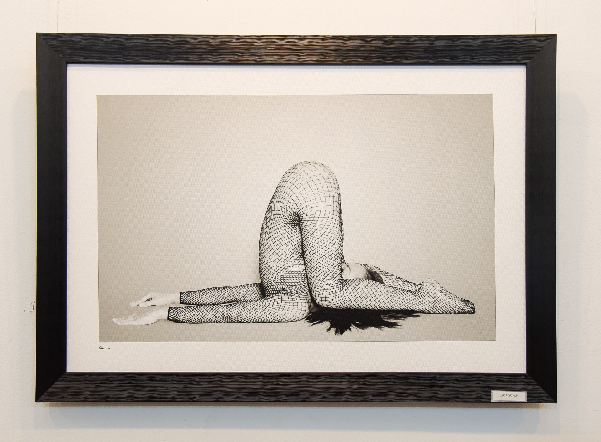 can canh trien lam nude dau tien cua Thai Phien o Sai Gon anh 4