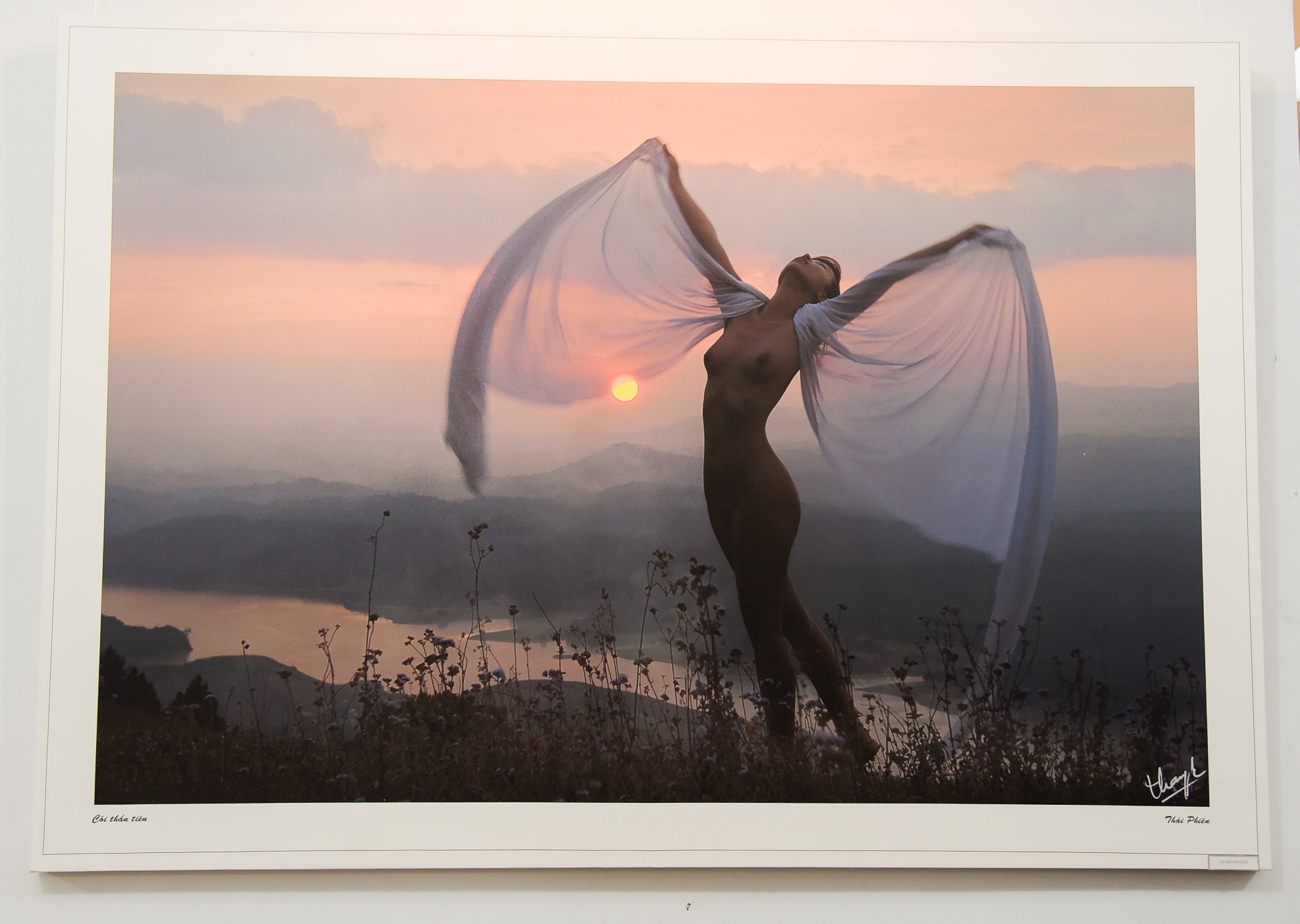 can canh trien lam nude dau tien cua Thai Phien o Sai Gon anh 5