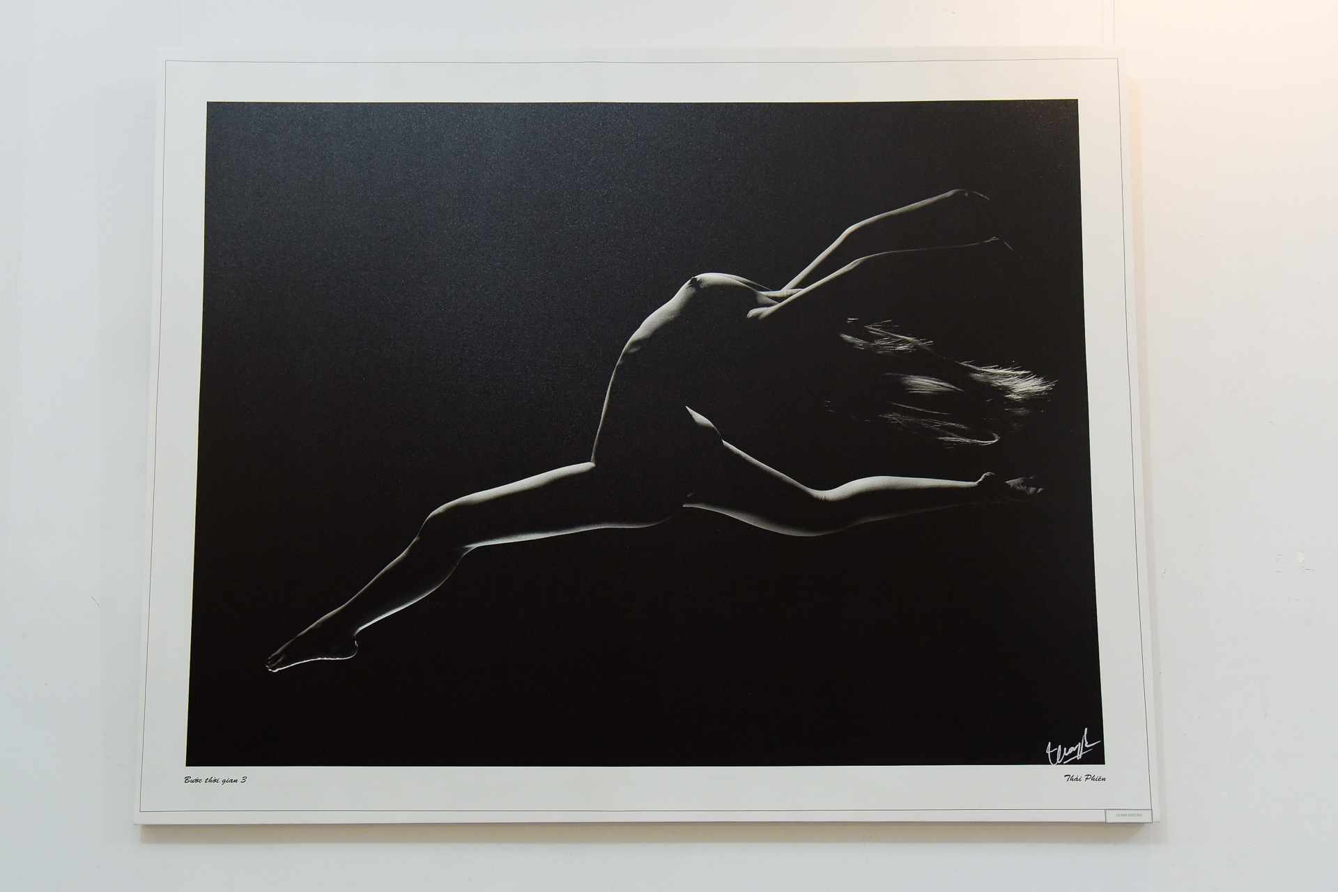 can canh trien lam nude dau tien cua Thai Phien o Sai Gon anh 8