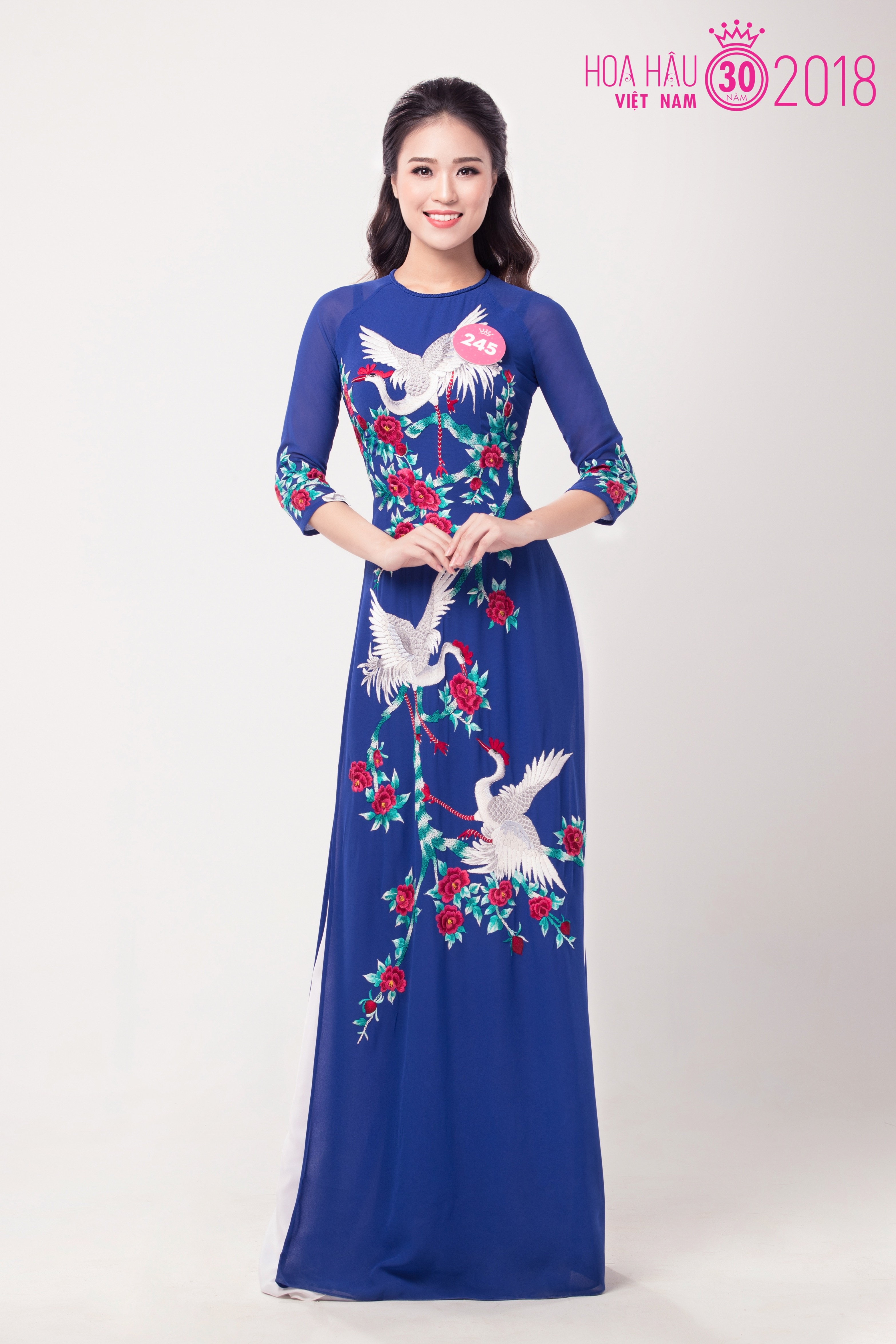 hoa hau viet nam 2018 mac ao dai anh 14