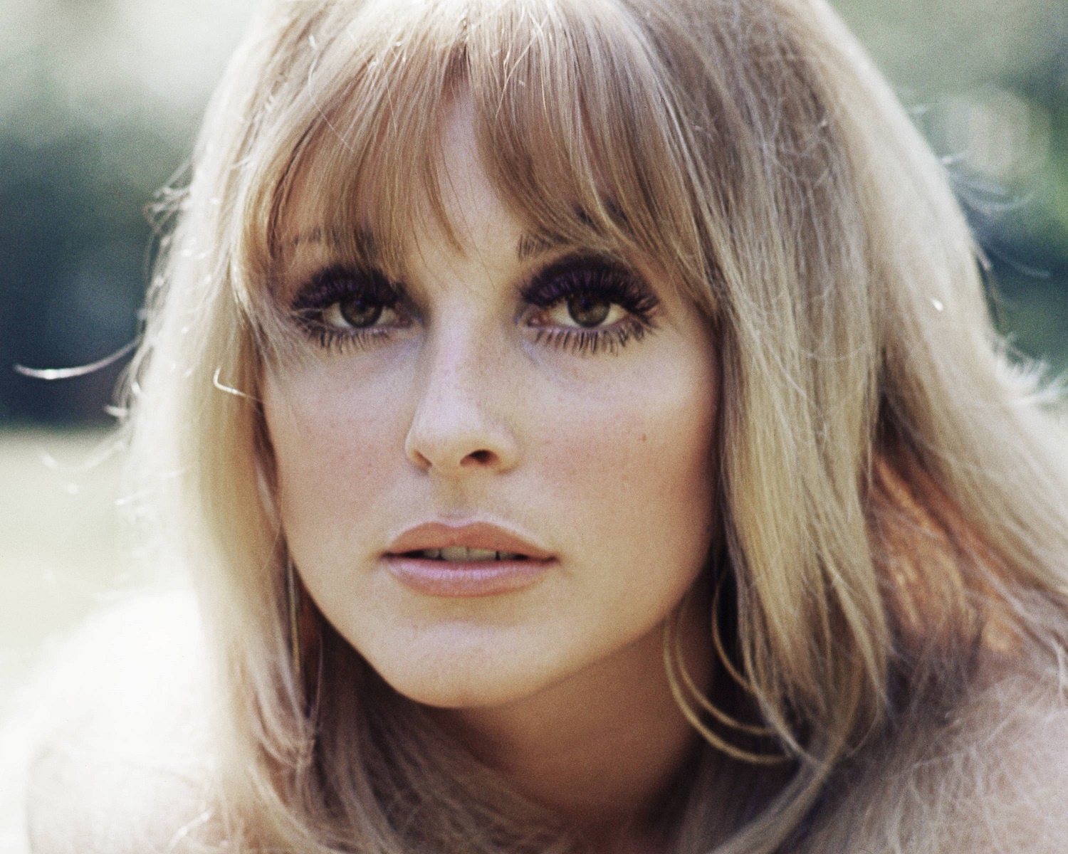 phim về sharon tate ảnh 1 phim ve sharon tate anh 1