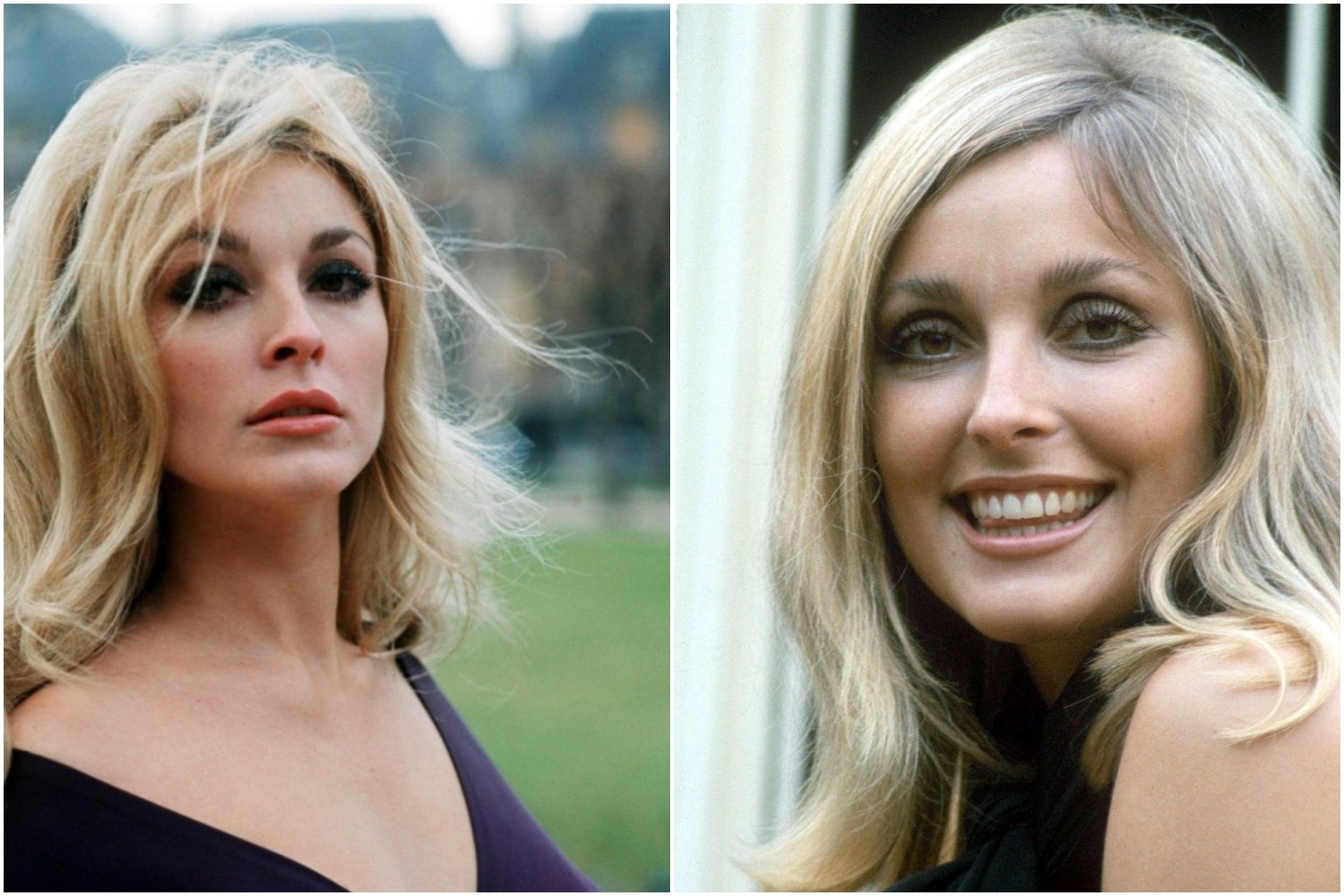 phim về sharon tate ảnh 2 phim ve sharon tate anh 2