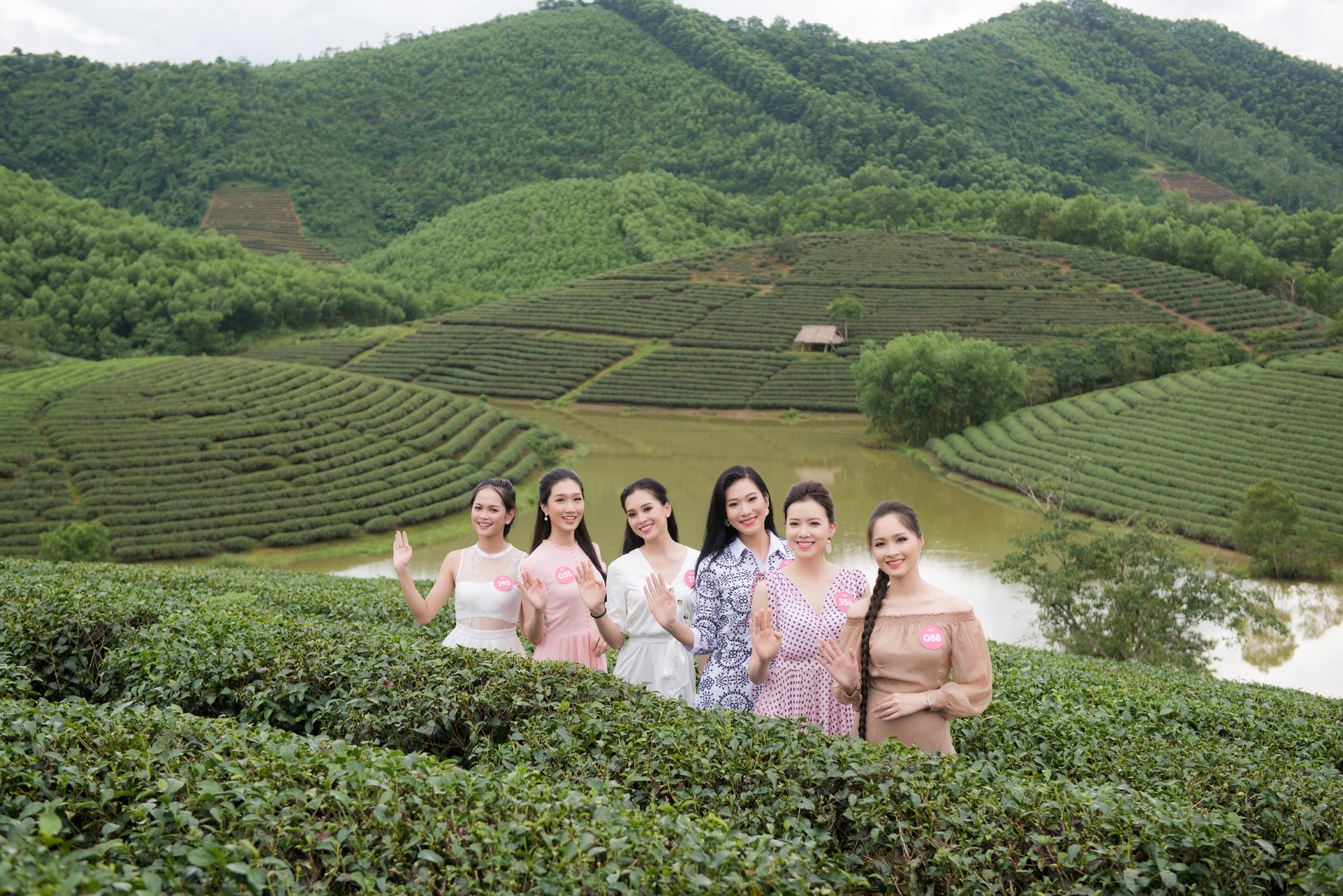 hoa hau viet nam anh 3