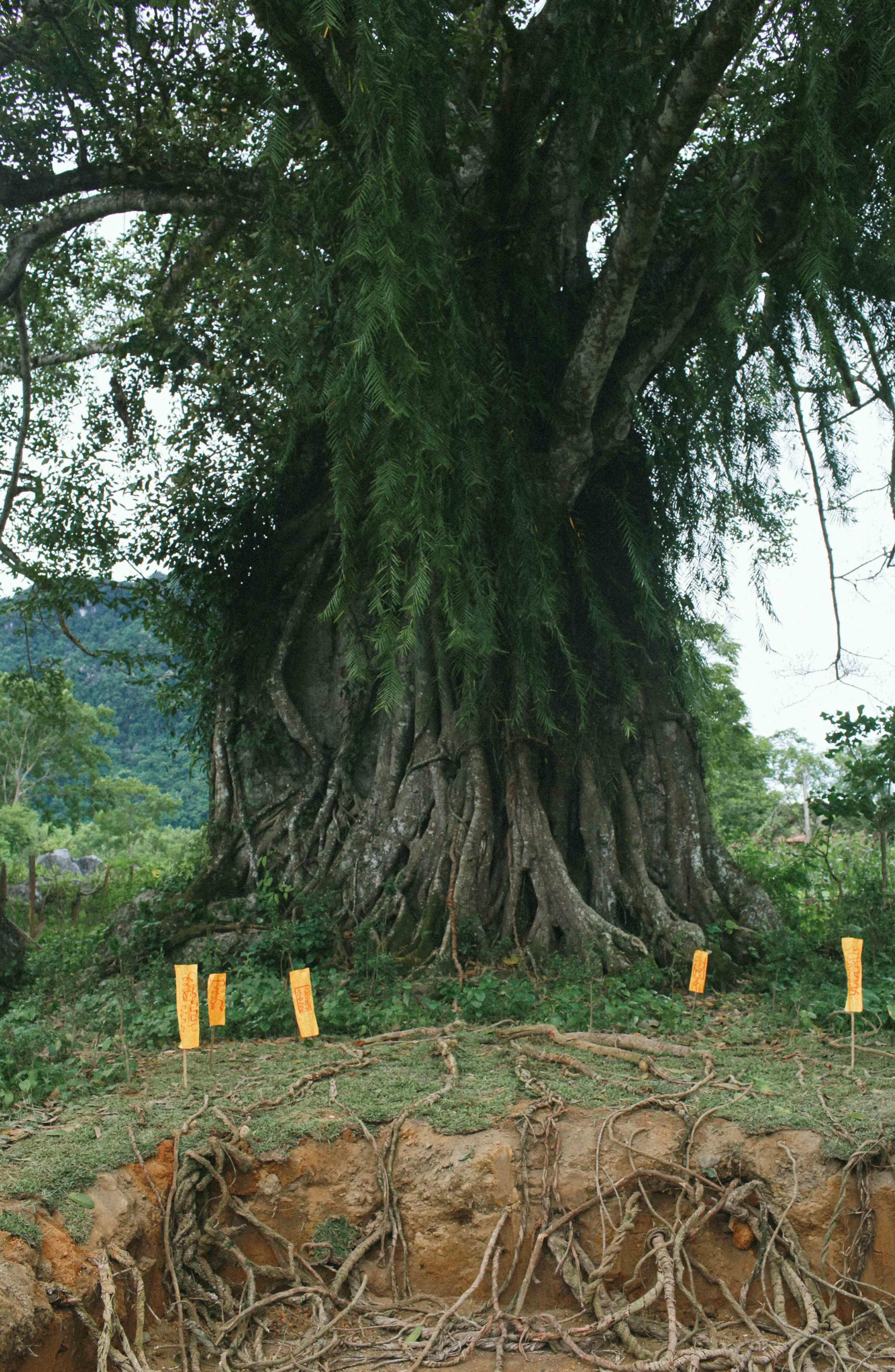 tu lan trong nguoi bat tu anh 7