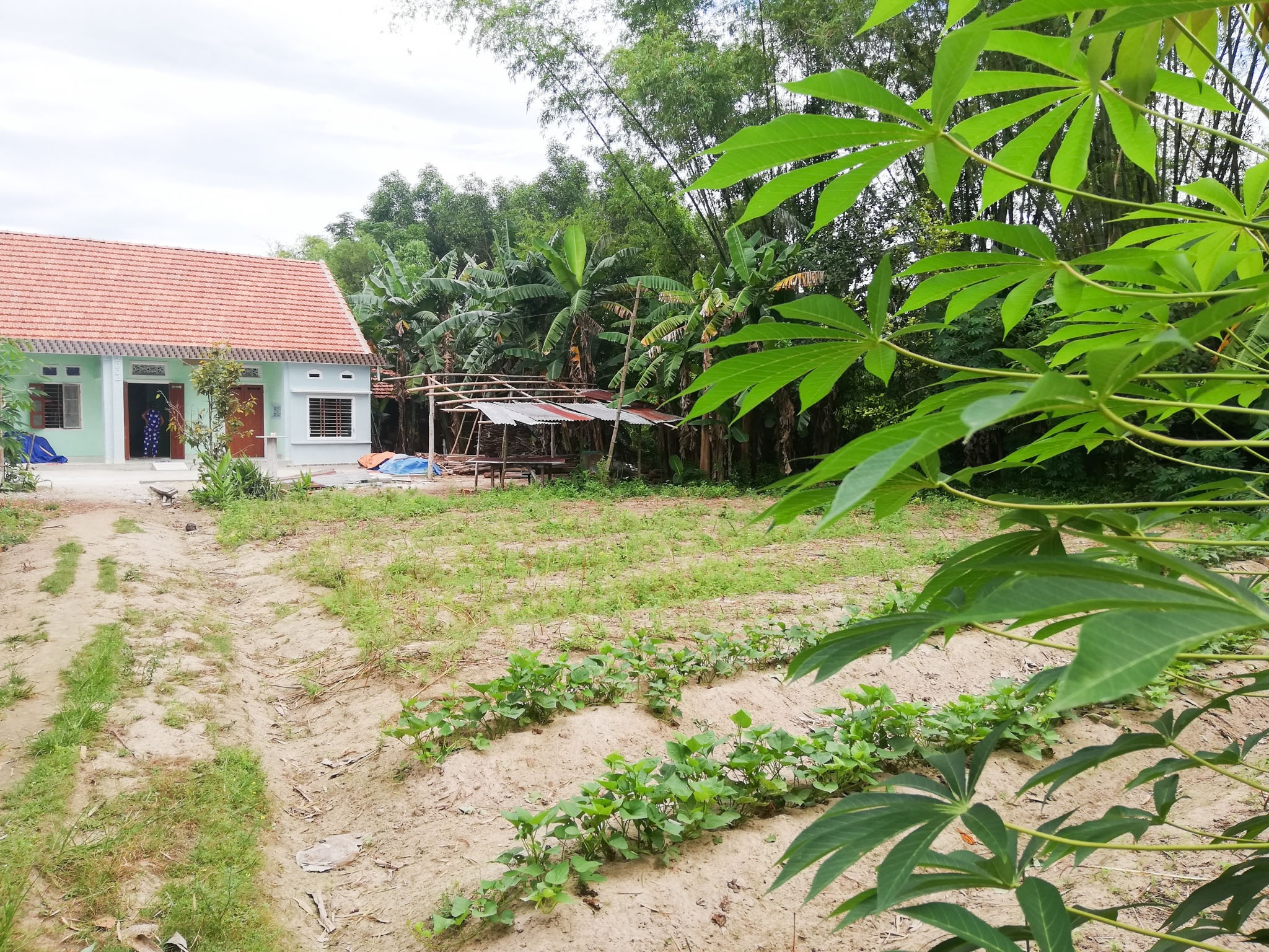 nha phuong truong giang anh 10