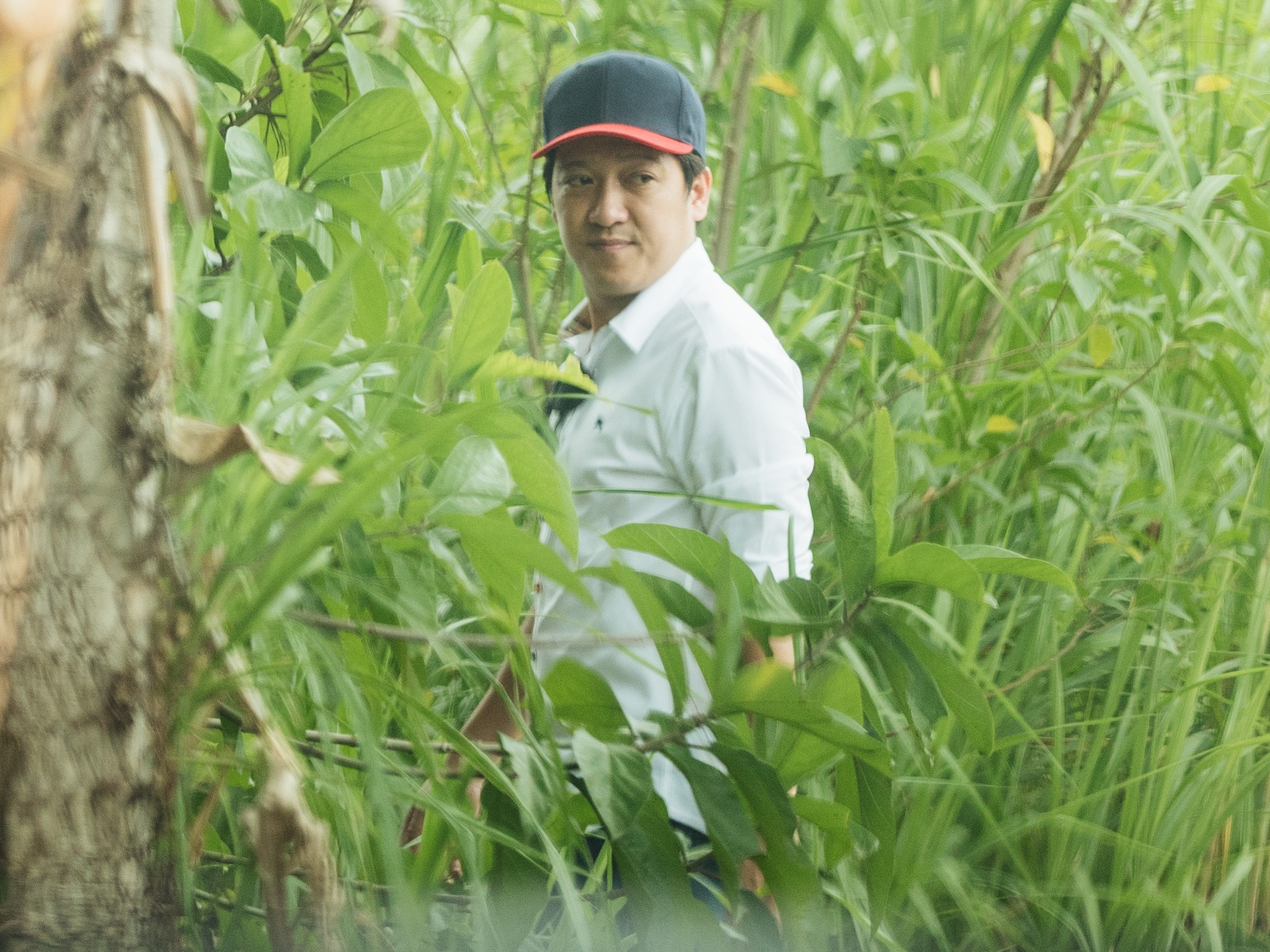 nha phuong truong giang anh 8