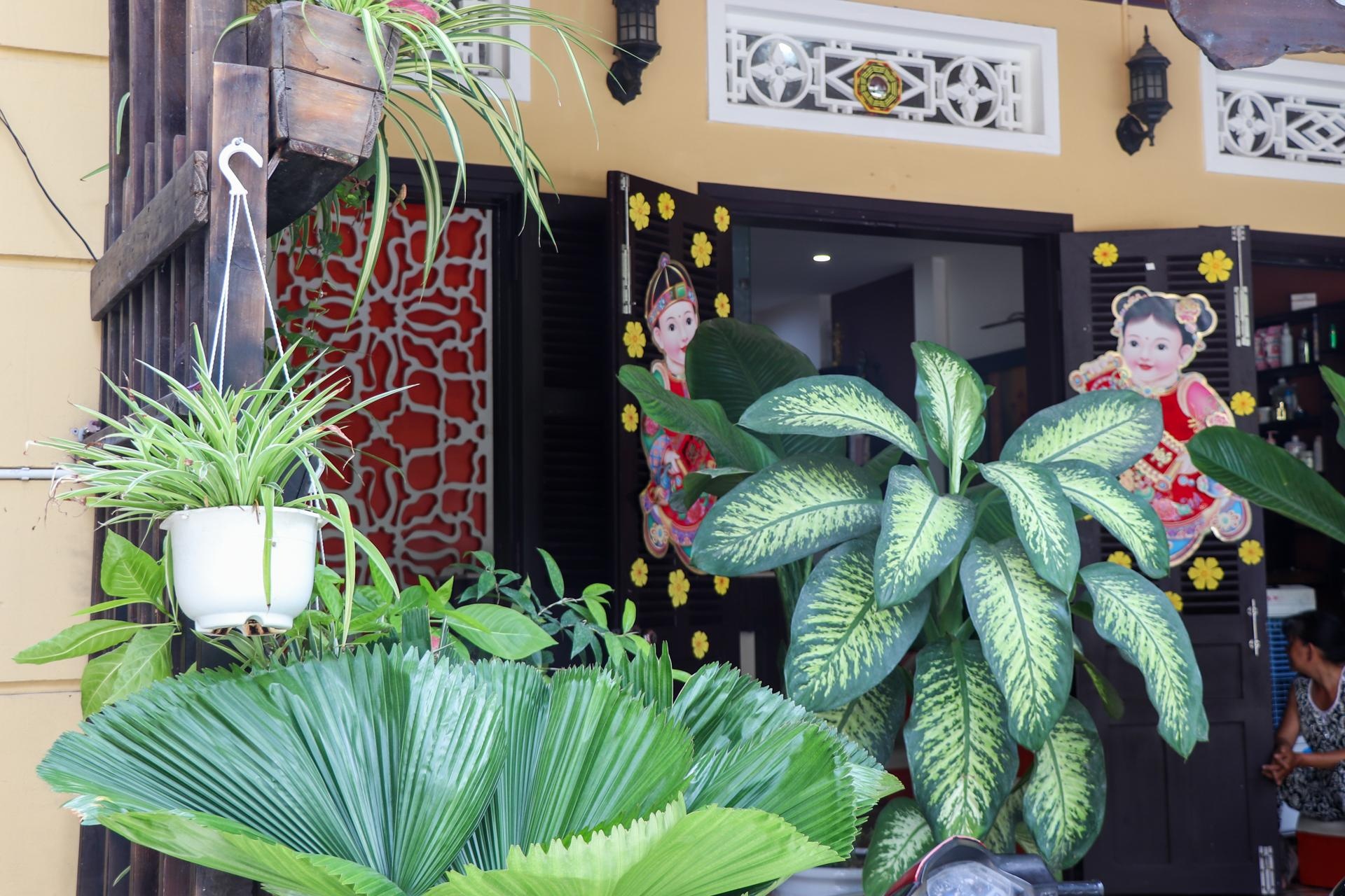 nha hoa hau tieu vy o hoi an anh 6