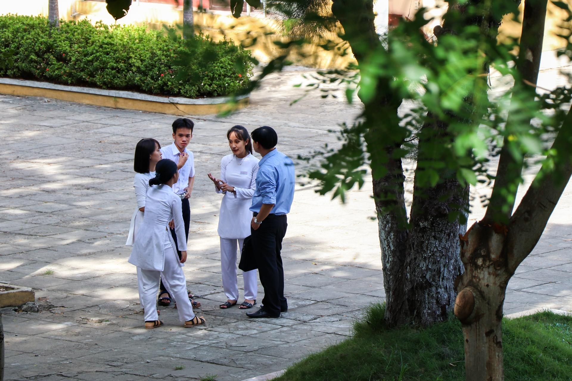 hoa hau tieu vy anh 3