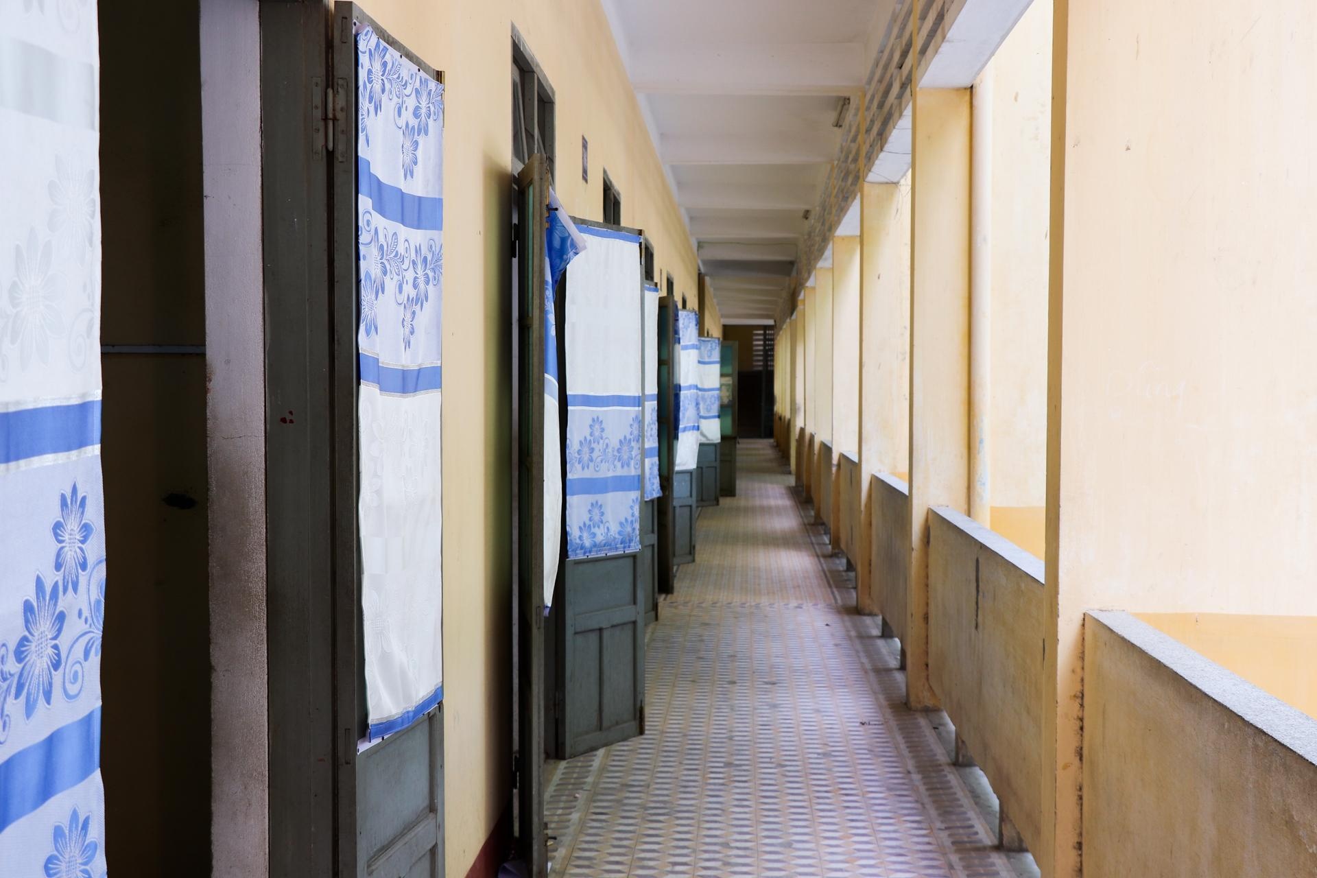 hoa hau tieu vy anh 6