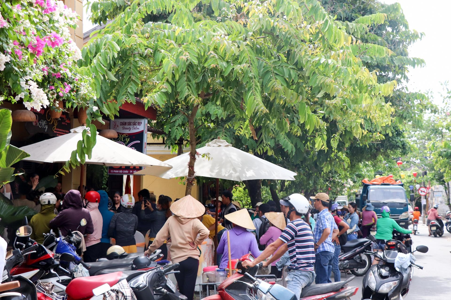 hoa hậu tiểu vy về quê hội an ảnh 8 hoa hau tieu vy ve que hoi an anh 8