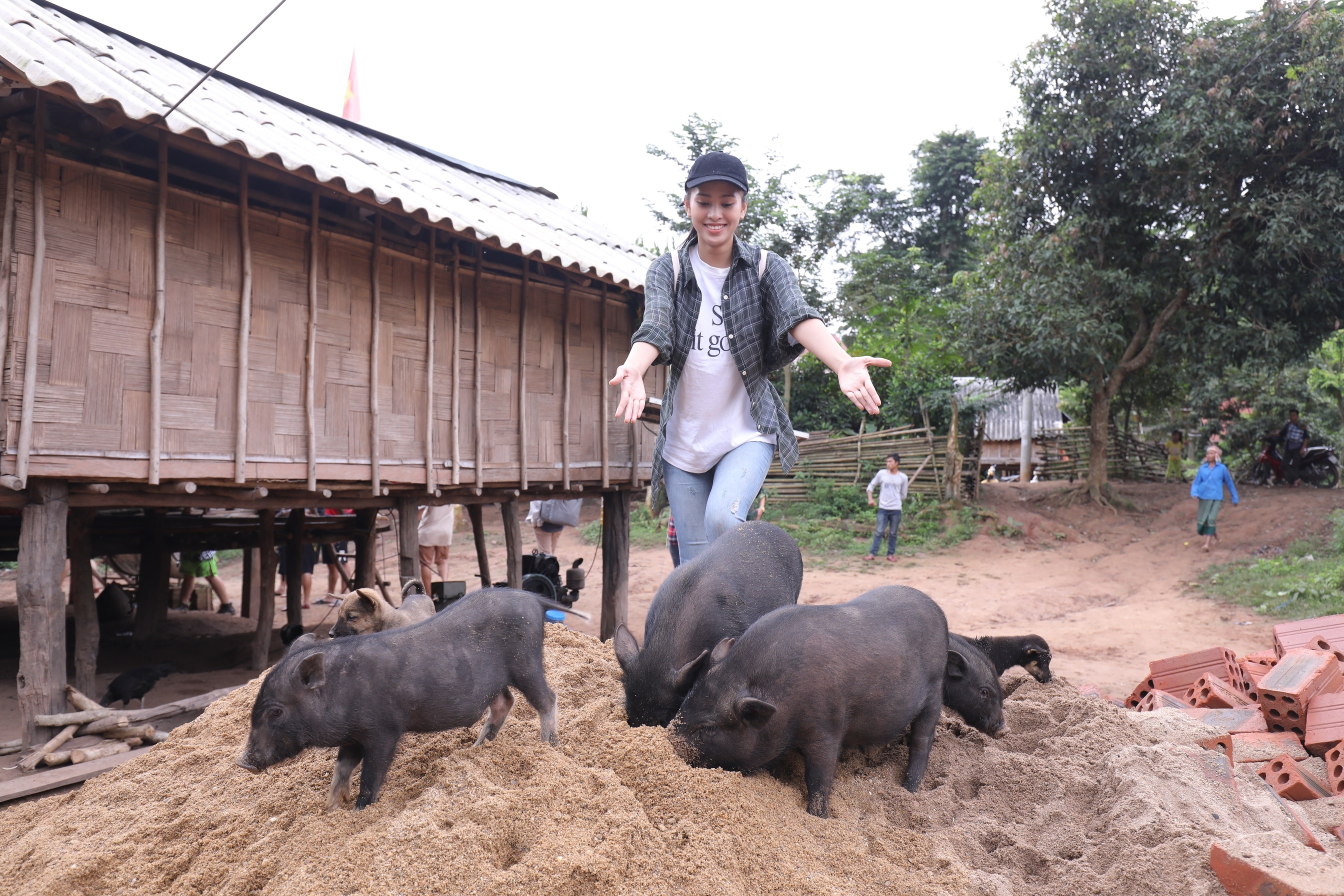 tieu vy de mat moc anh 7